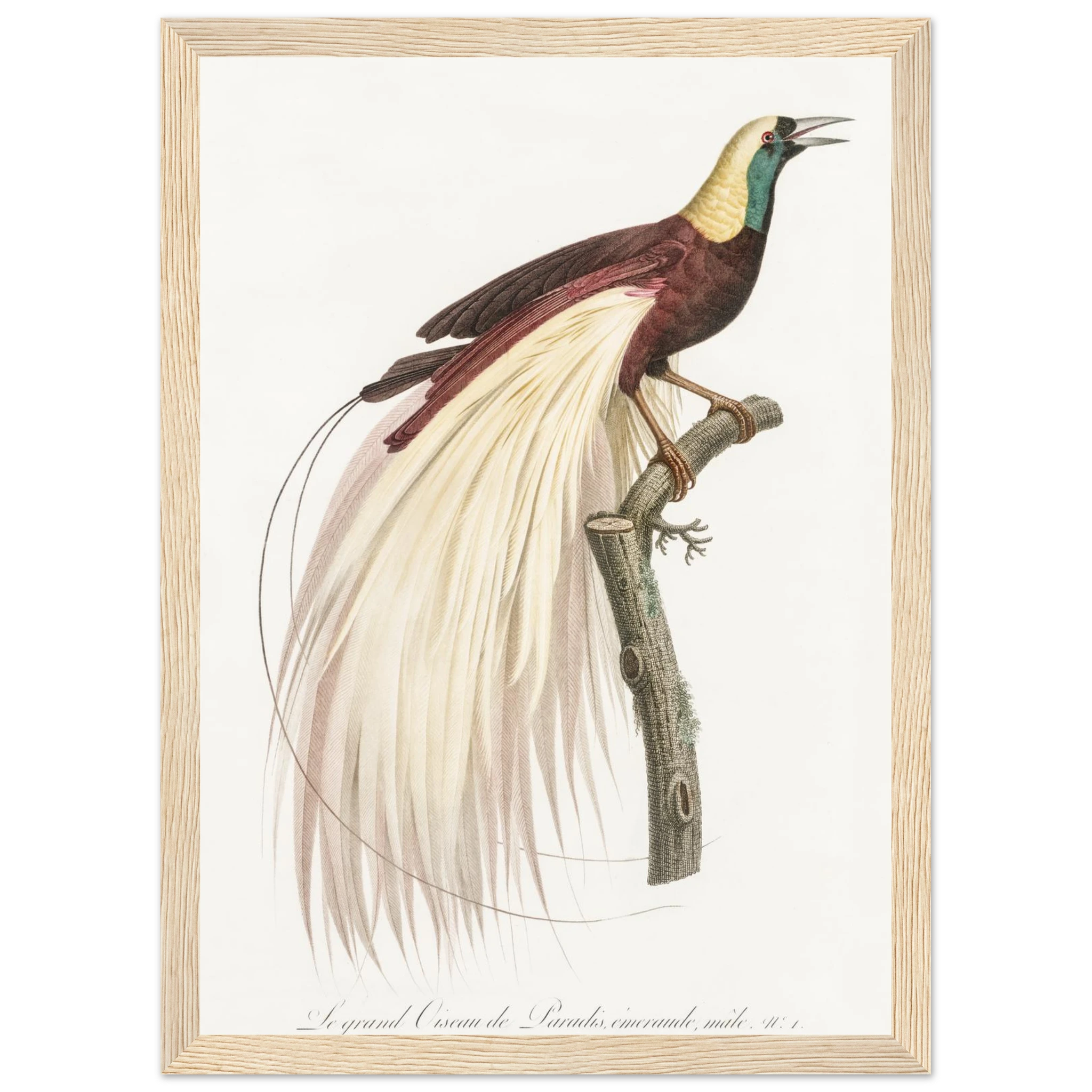 c630ad6b-474e-4891-8d86-8c39633a50e0