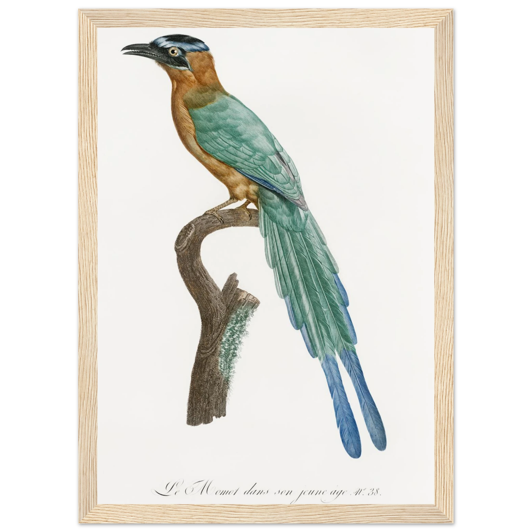 c6538c5a-fde6-4c9a-9435-ca0081dbf408