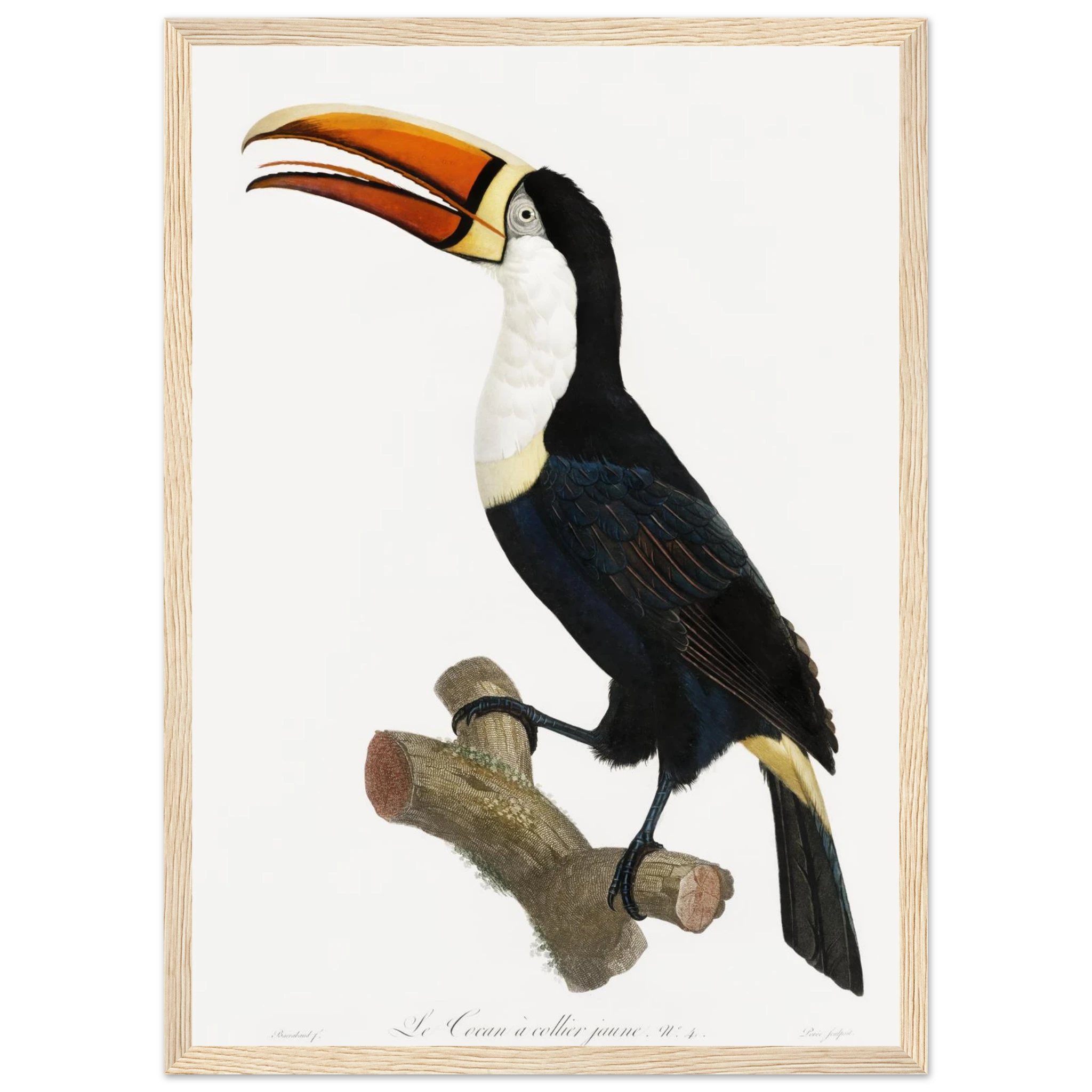 c65b0bba-b593-4a3a-80e4-64adb7c6b99a