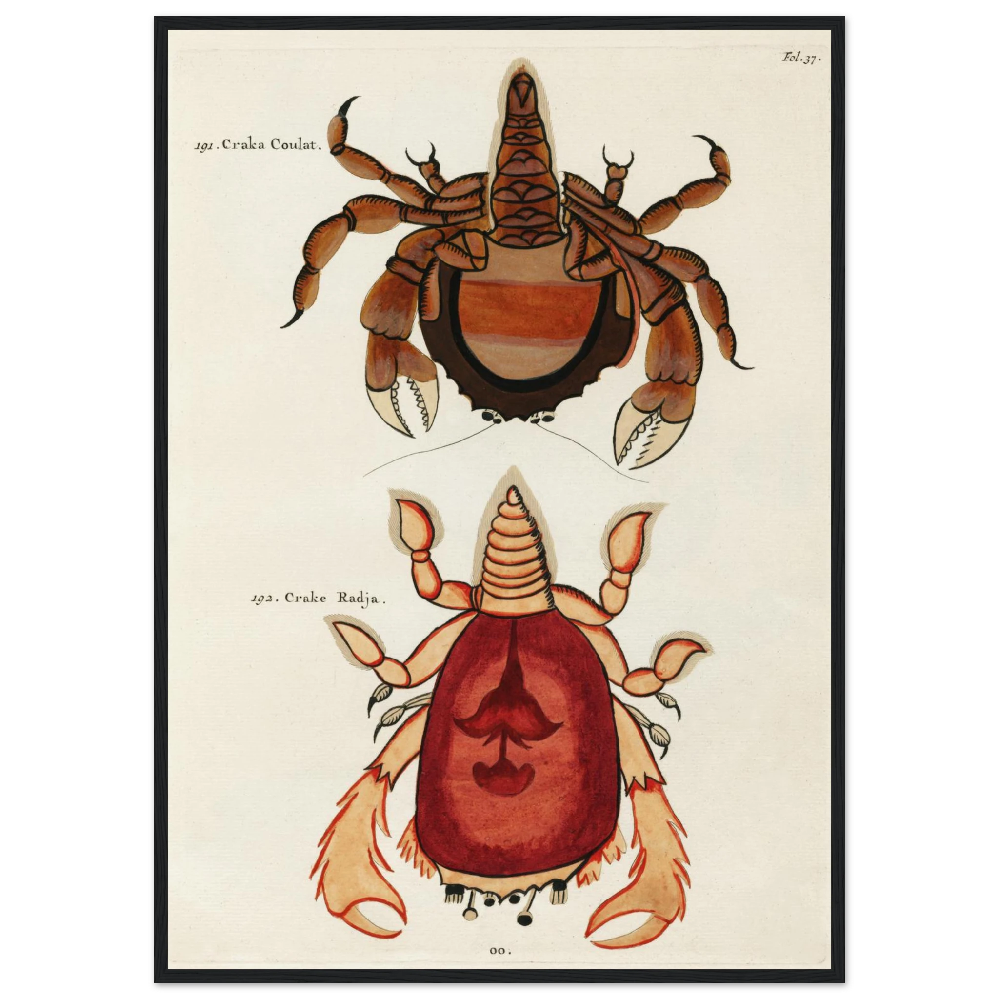 c67763db-0453-4487-8cde-675facb972f0