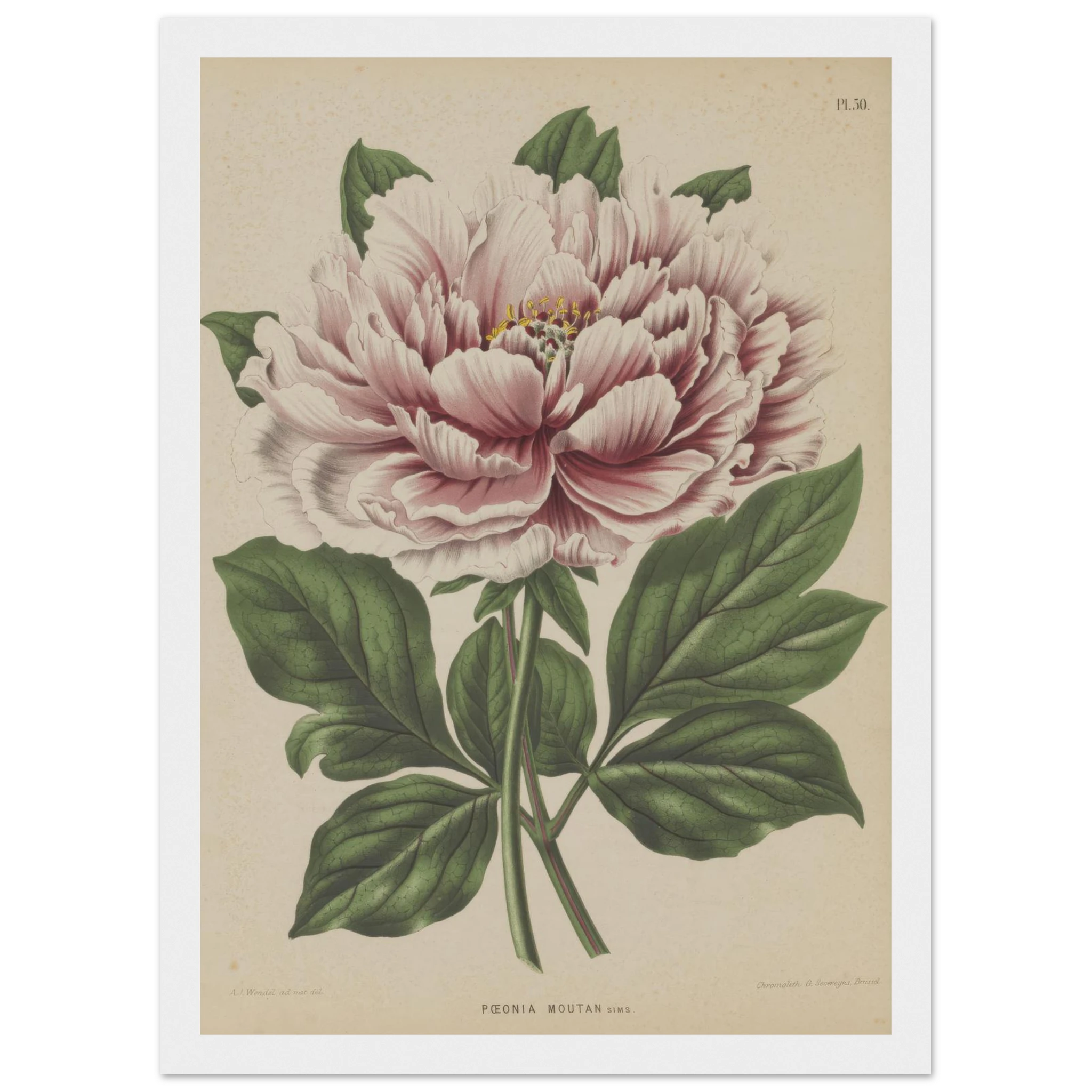 c6b5b6c2-c643-4907-b5ad-4494cd86c53c