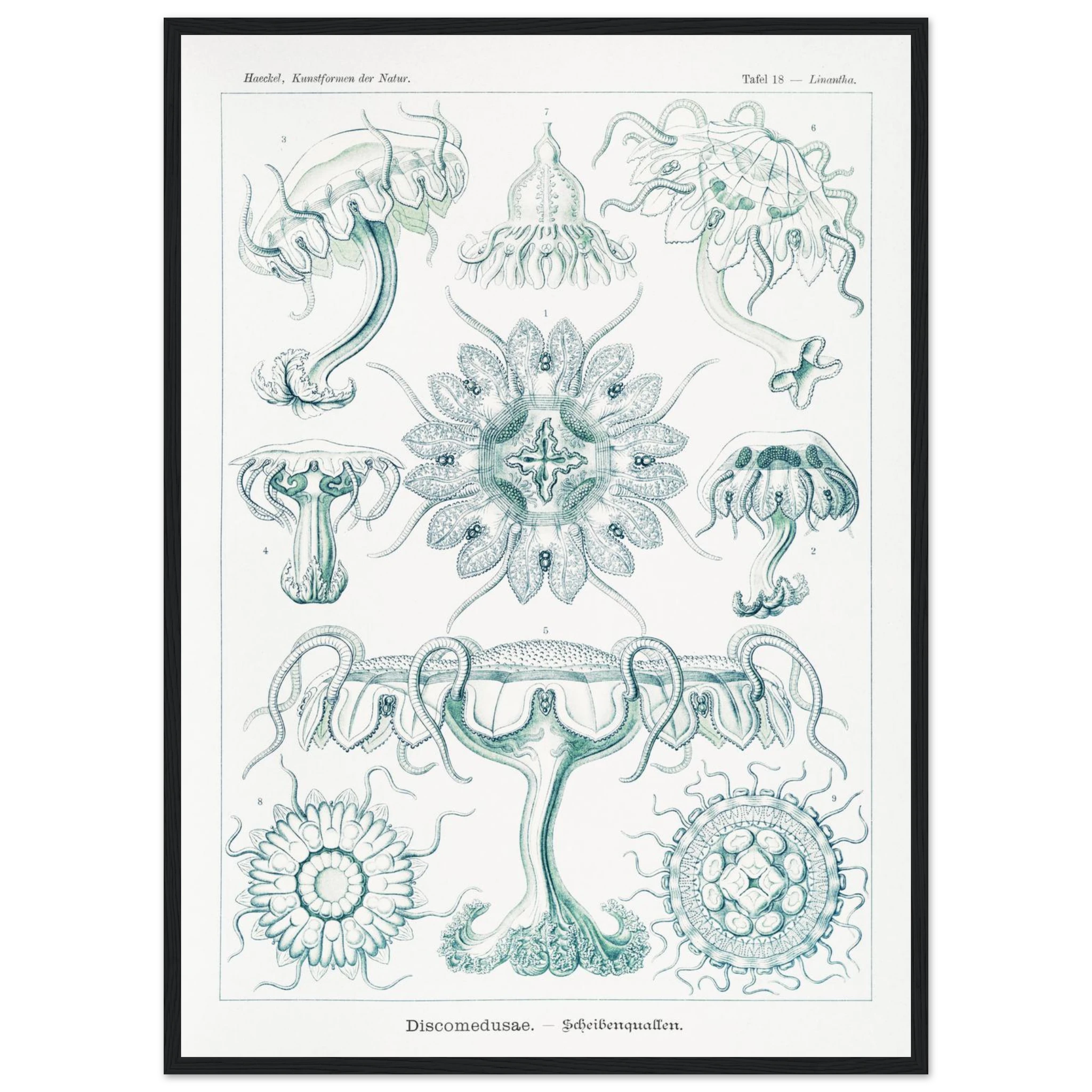 c6fdc247-edc2-40b7-9e7b-05d2d77d18b2