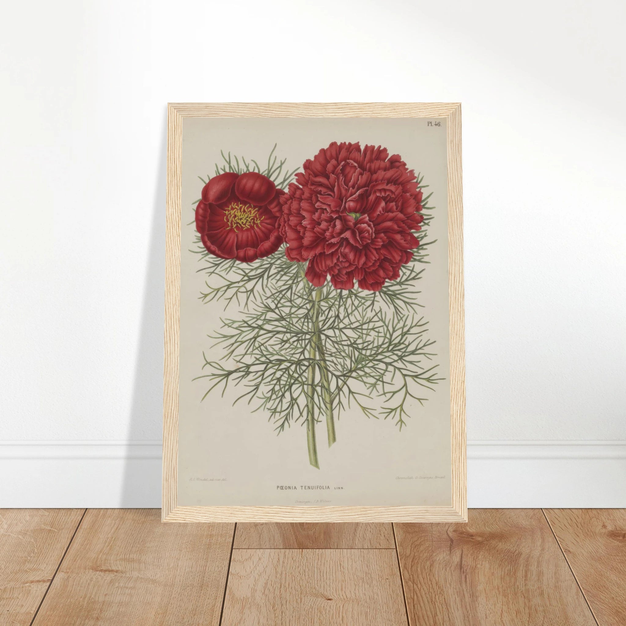 c763ed55-a8c8-4ae6-afa0-b87e15602ab6