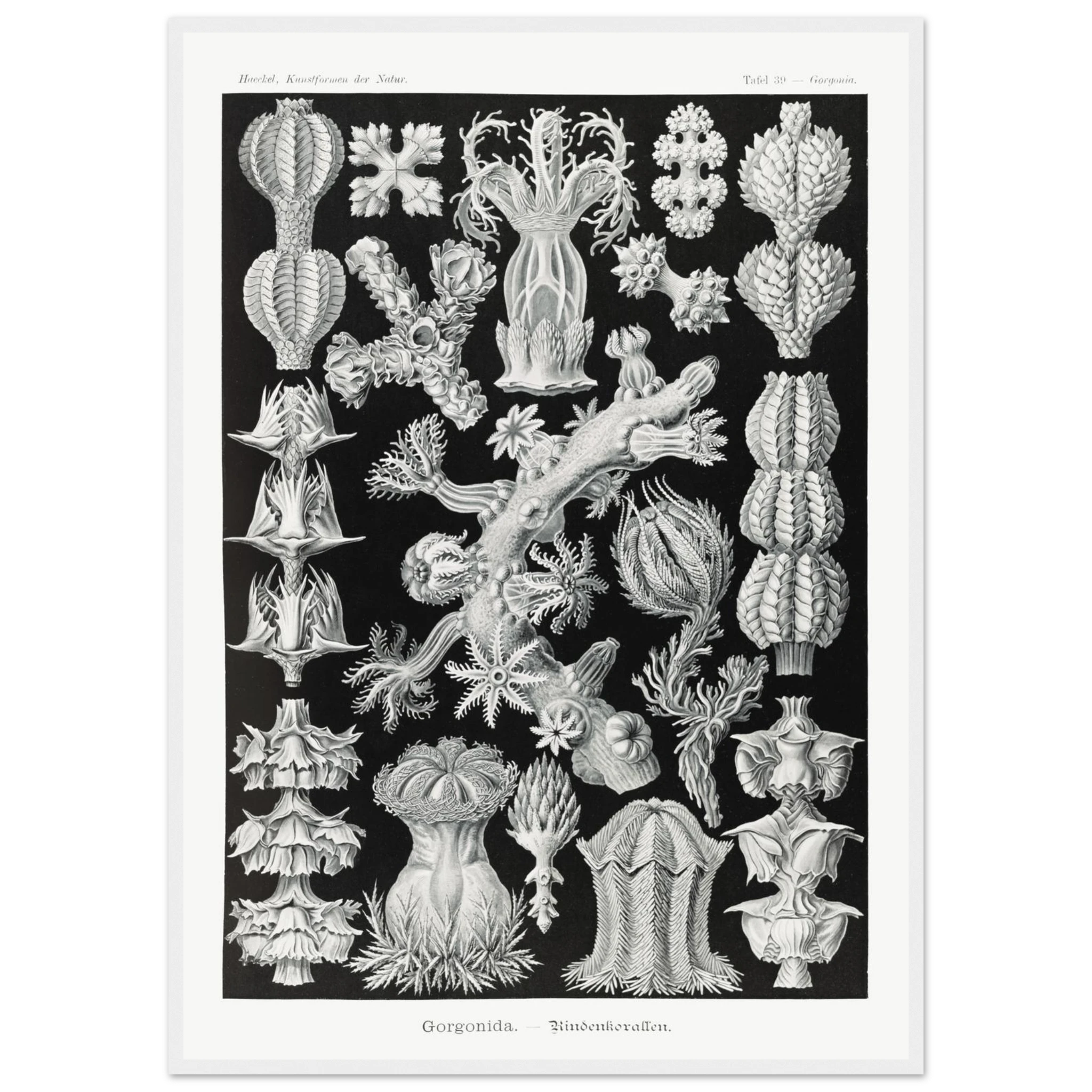 c77caef1-6d53-41b5-b0d9-e5eb6eca2b3e