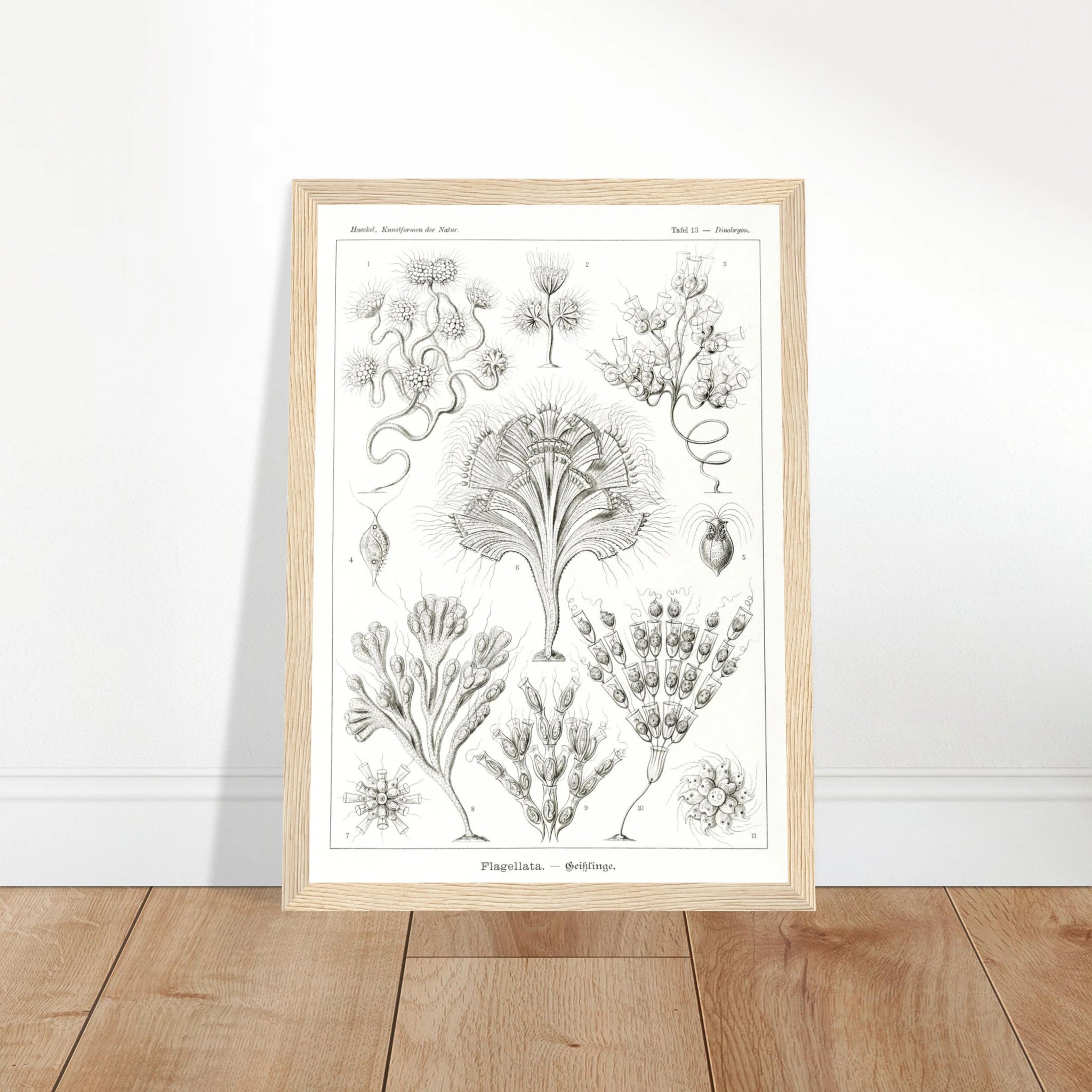 c77cf5a3-d0c7-41db-9dff-c54338050072