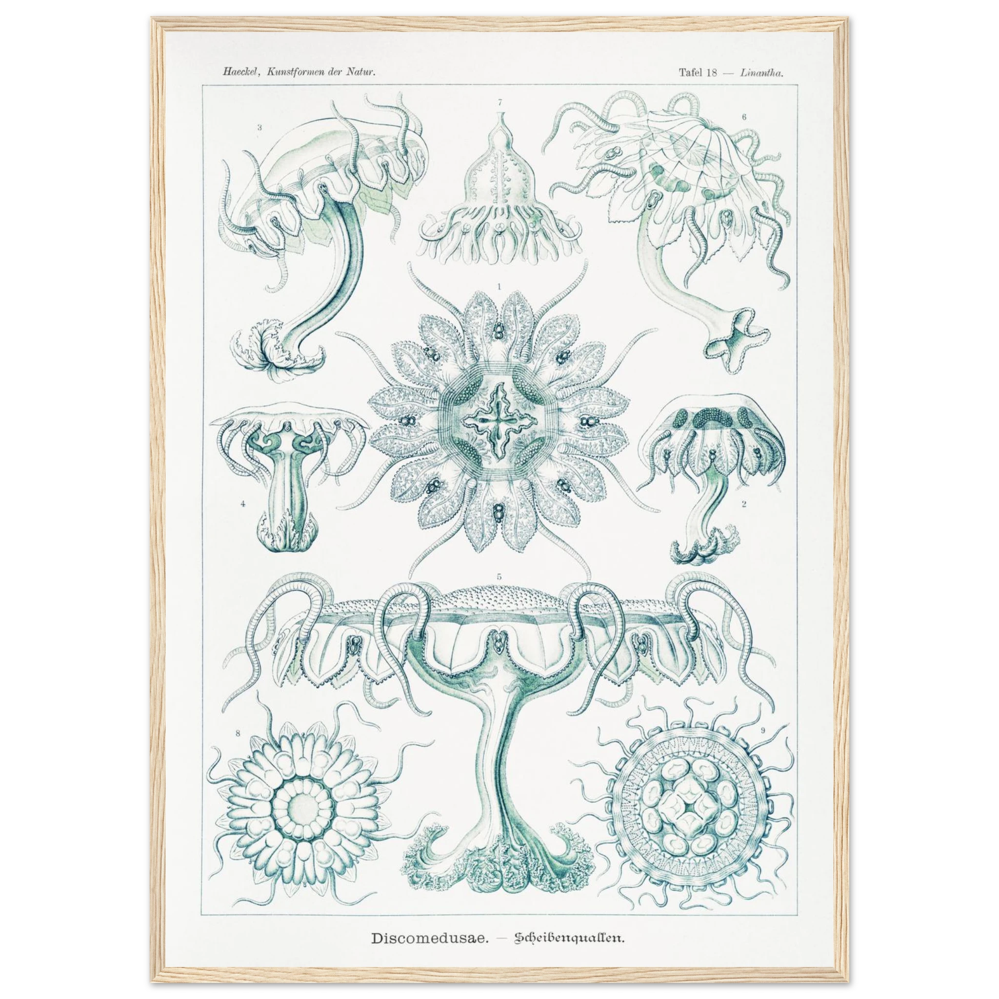 c80de82e-ad5d-4eb5-8360-293d979c81ae