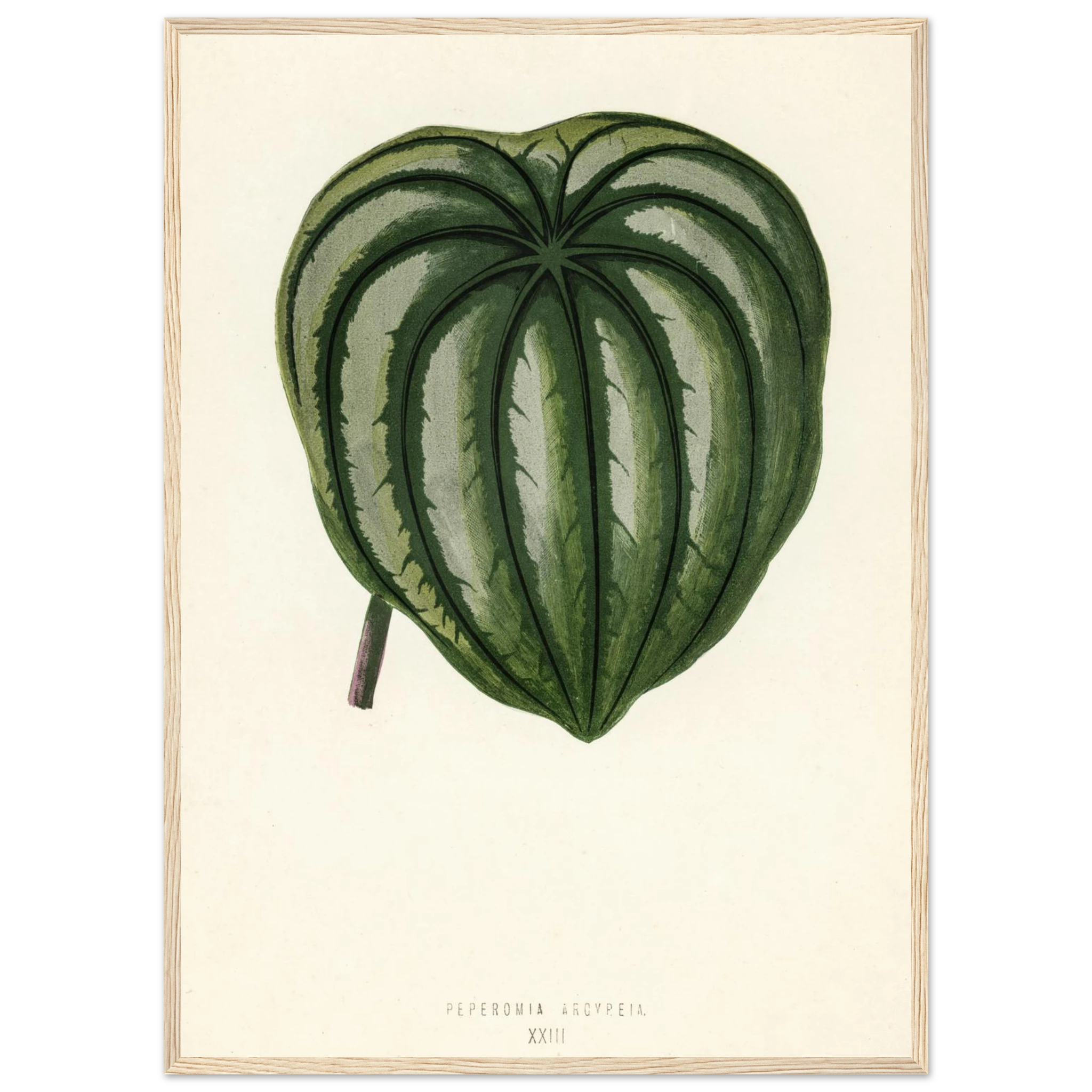 c842b174-92e8-46f4-8cc3-2059ac474536