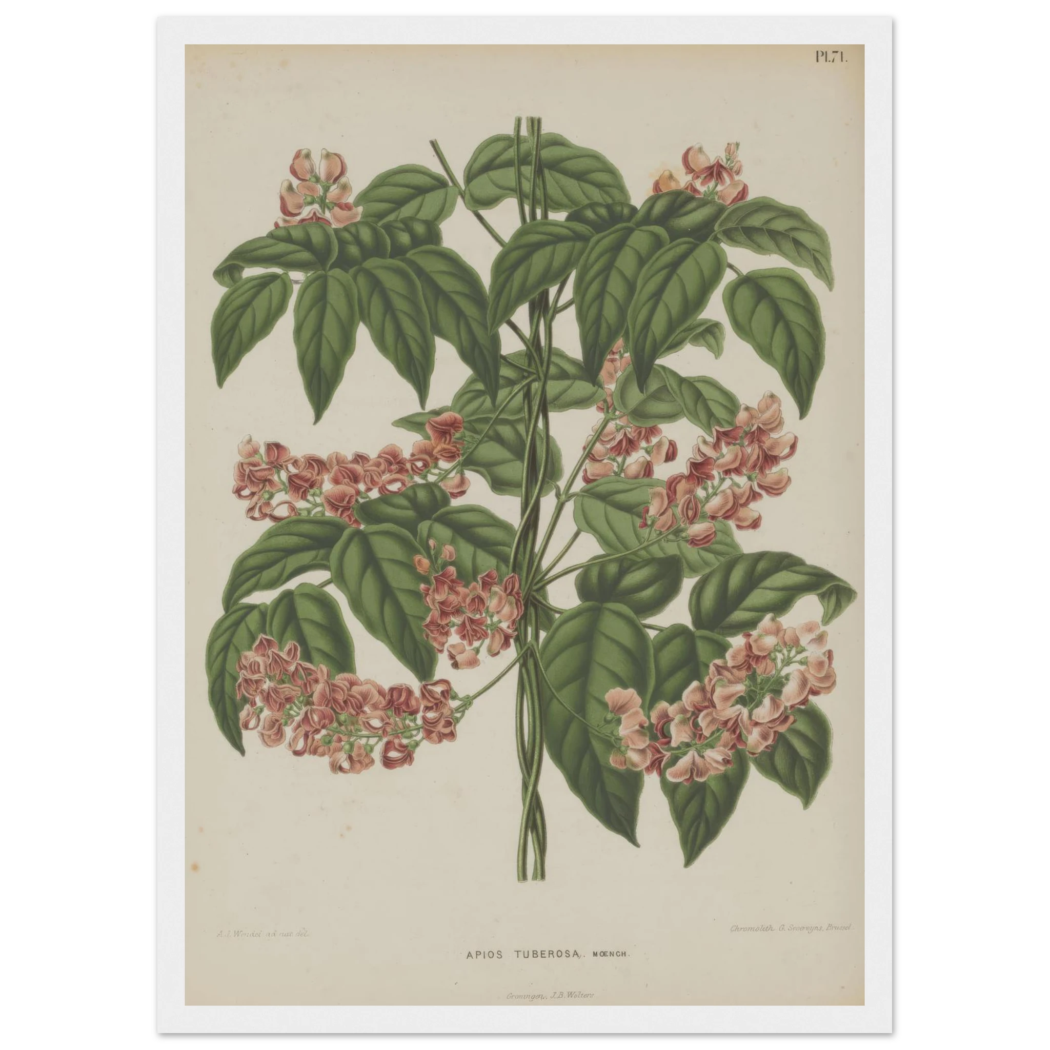 c861d2e8-b99b-40e5-a795-134538c7c526