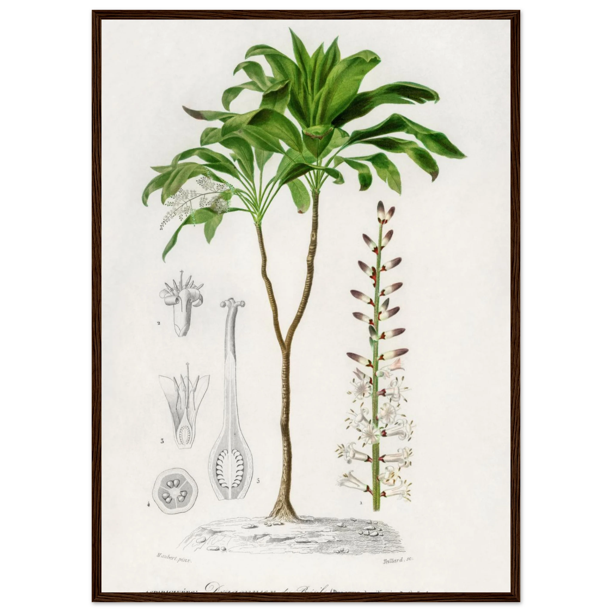 c877be68-151b-49d9-abaa-757e72a3628d