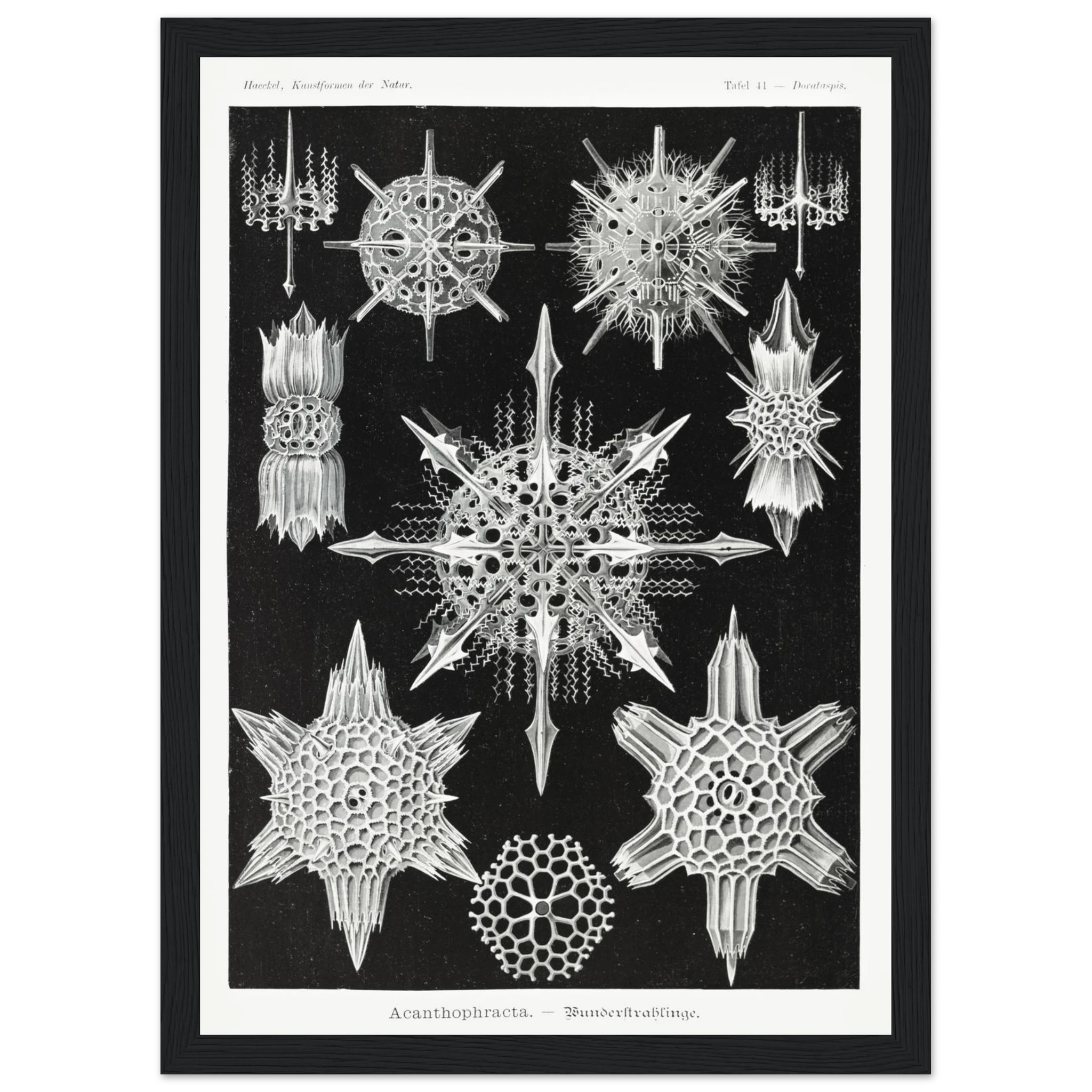 c88e75db-897c-4af0-83af-2e5075708c80