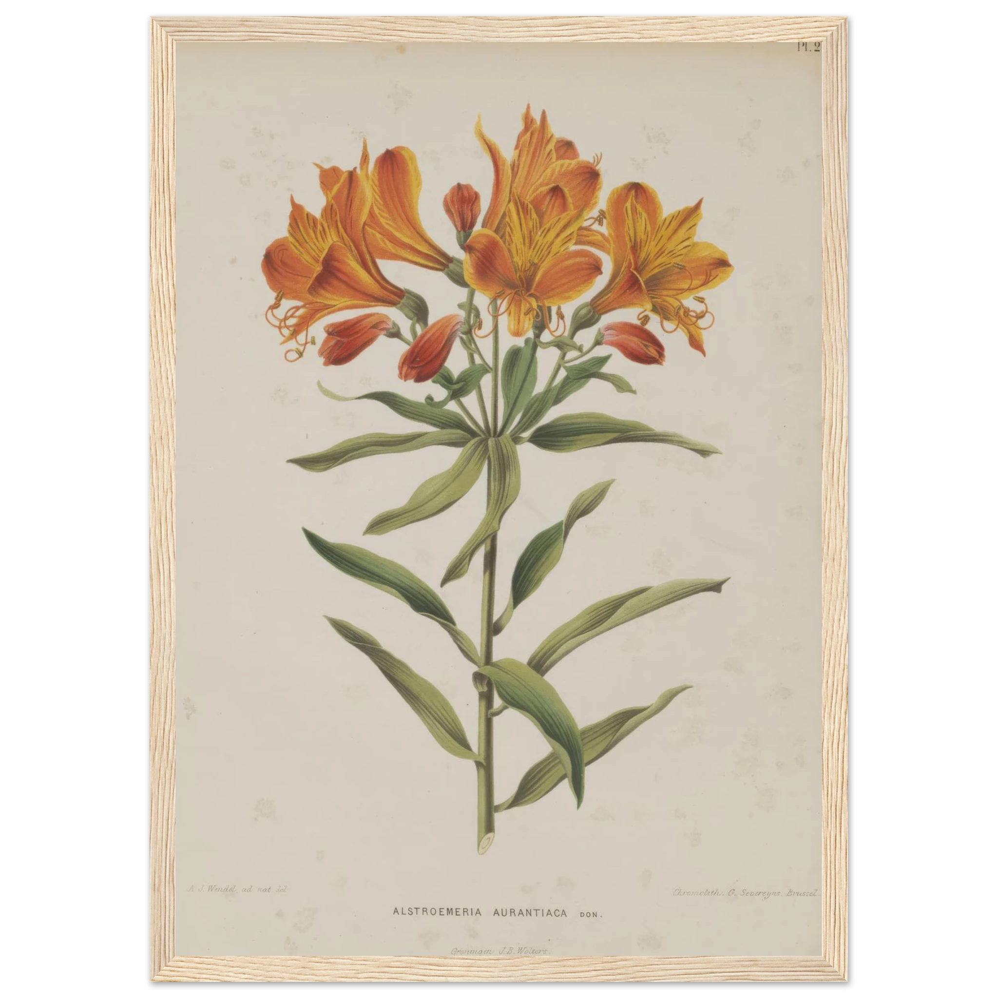 c8b4044b-c1d5-4ac9-b116-b3990bf86a74