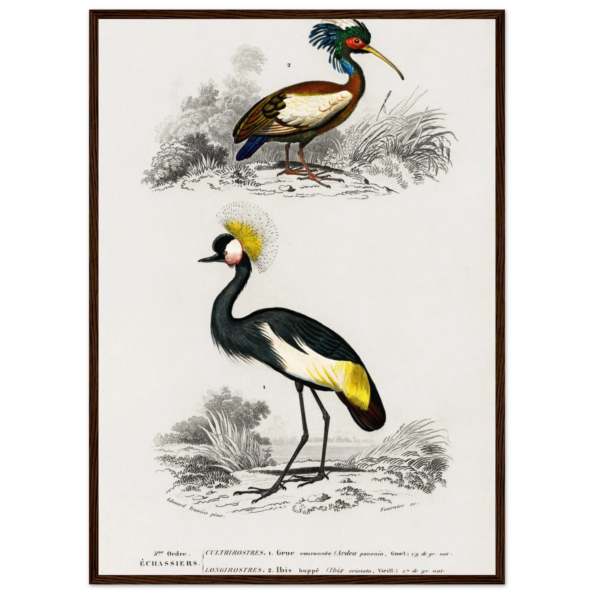 c8c2435d-c01c-4ebf-8067-6895186da82b