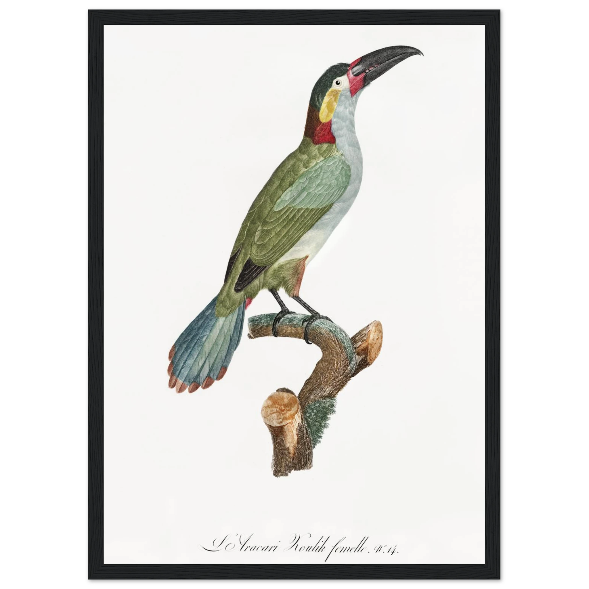 c8d1f931-e146-4c18-9c3f-0763c6808b99