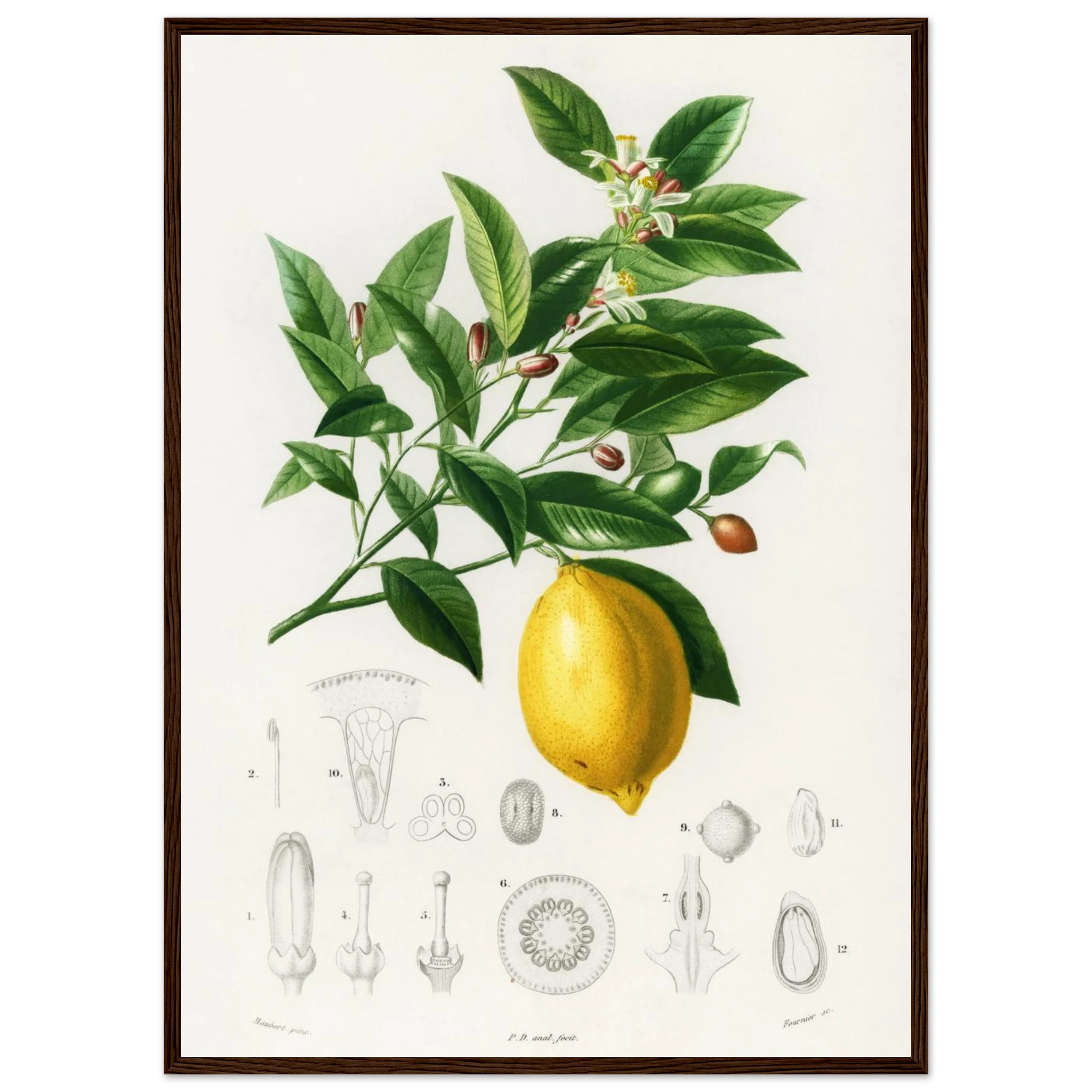 c90cc288-2810-4535-8eb6-44b82b7ef074