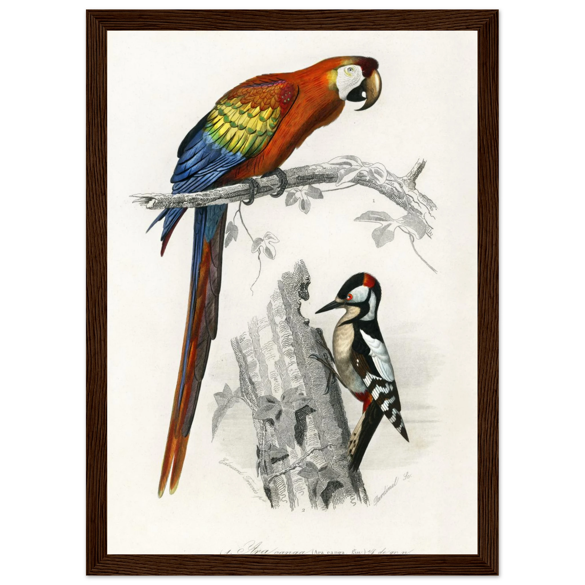 c91c10bb-17b9-4ba7-8e4b-ebd8bfb92dd3