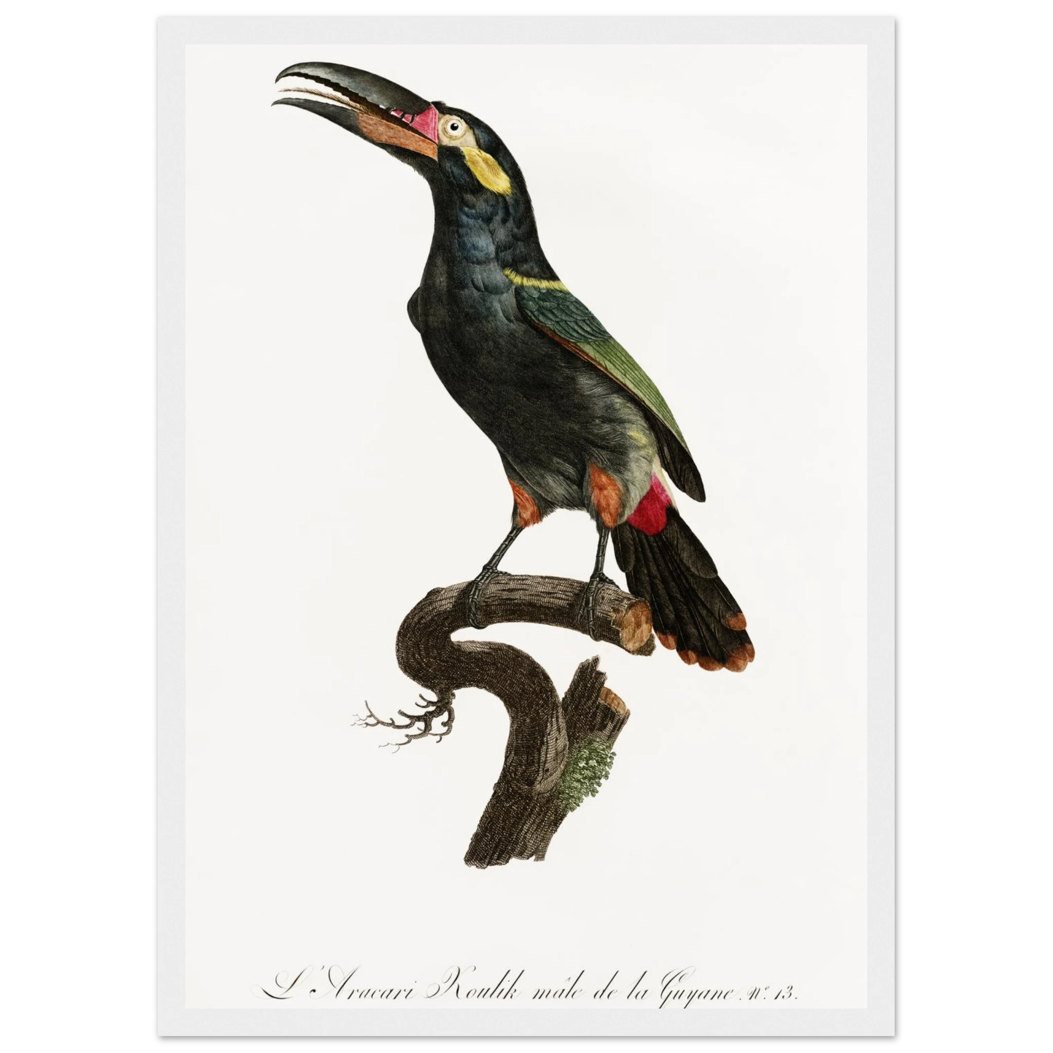 c91c20fe-70e8-4fef-aeac-c4dd41e14e96