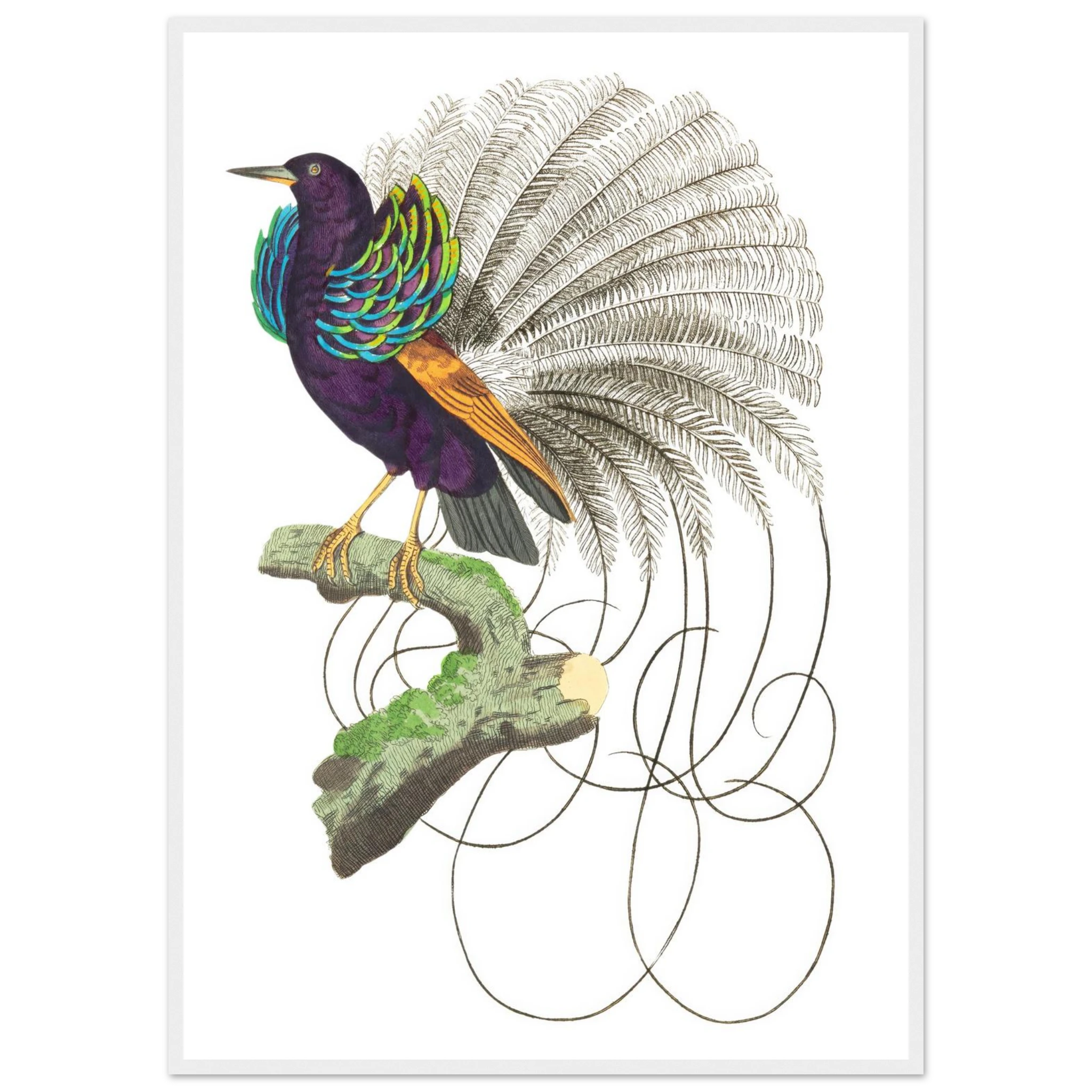 c92e2146-97d6-47a4-b580-2e12caeb8d28