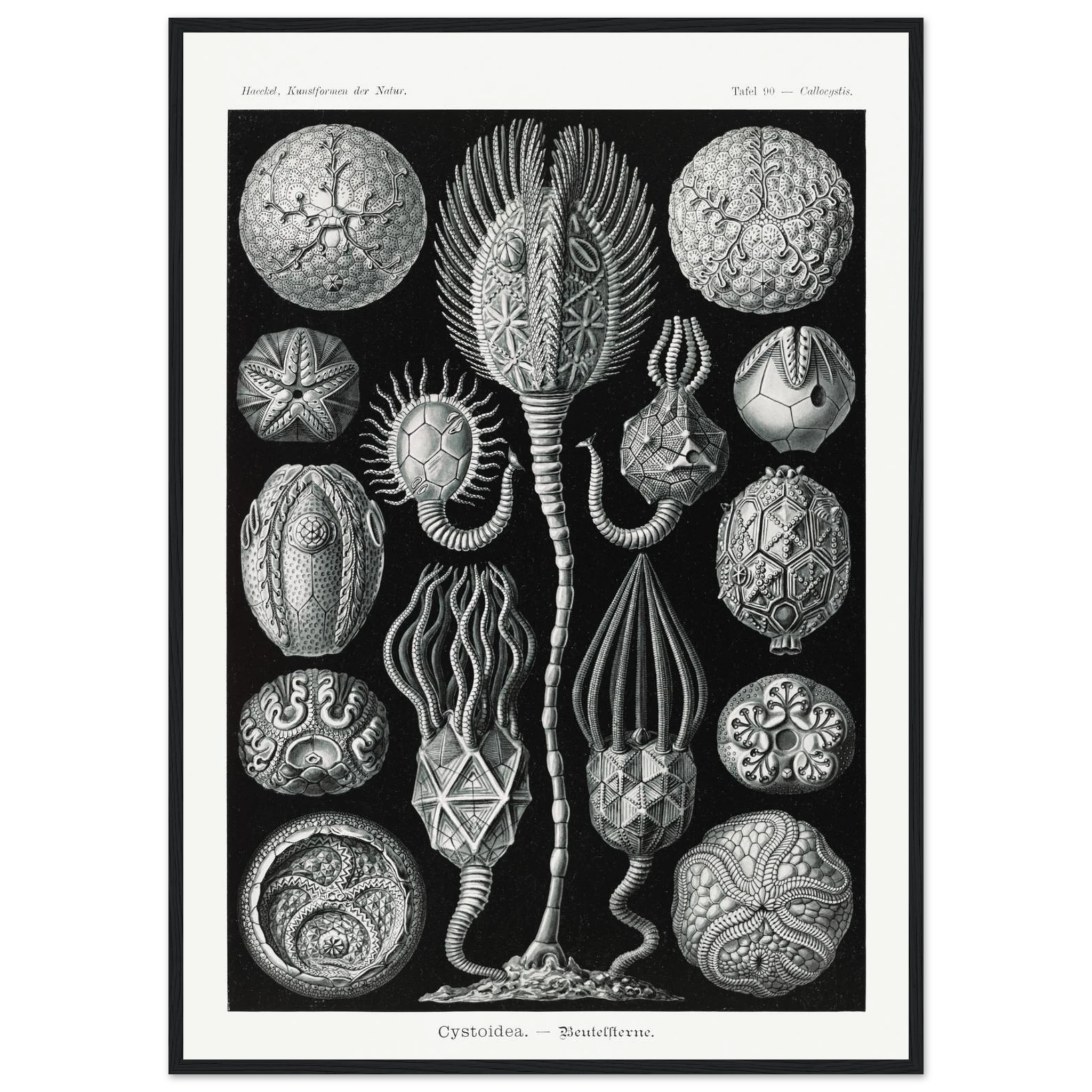 c95d0f8c-2426-408e-883c-c5521ed5215b