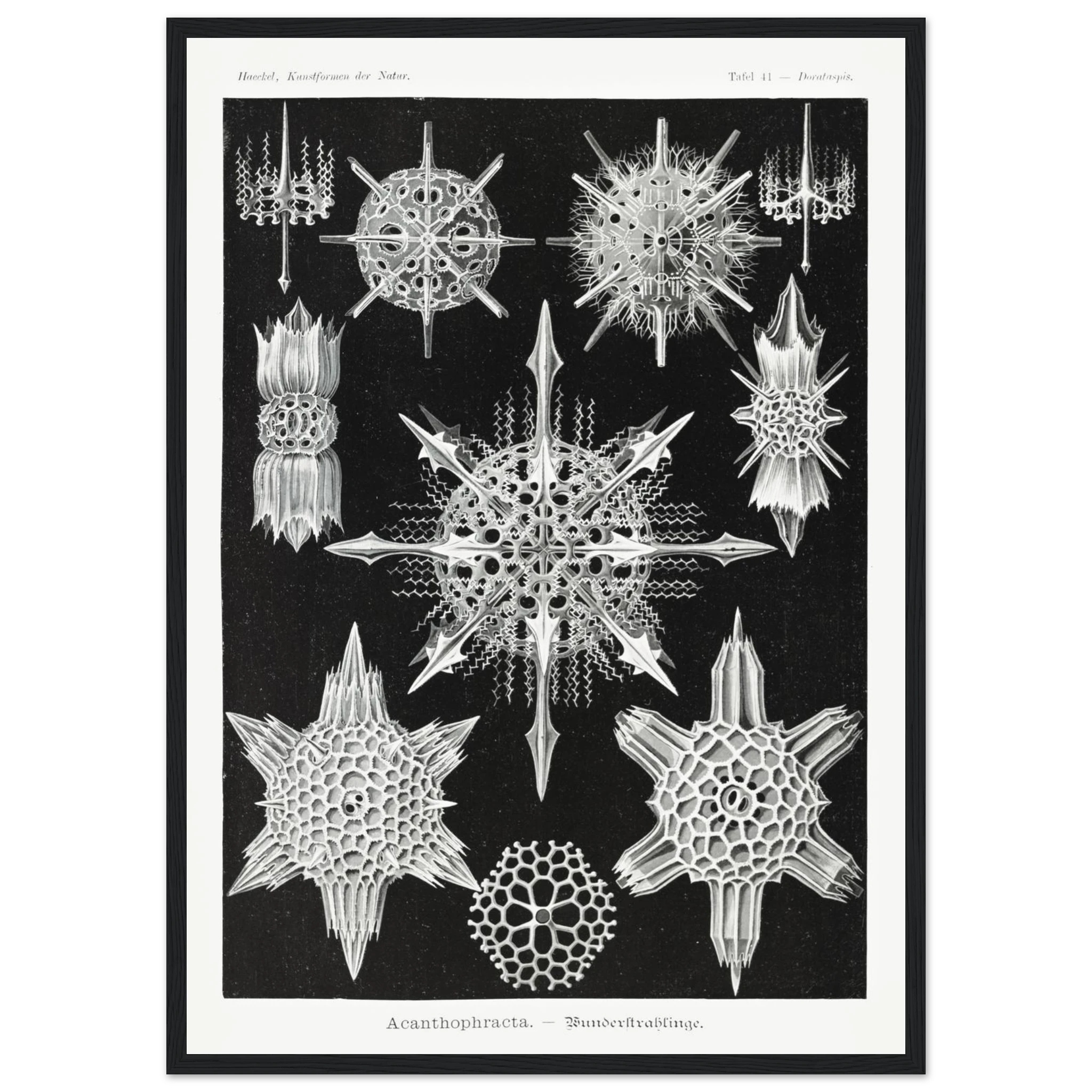 c9797f76-c04f-46ab-b0f5-47aec5a3c6db