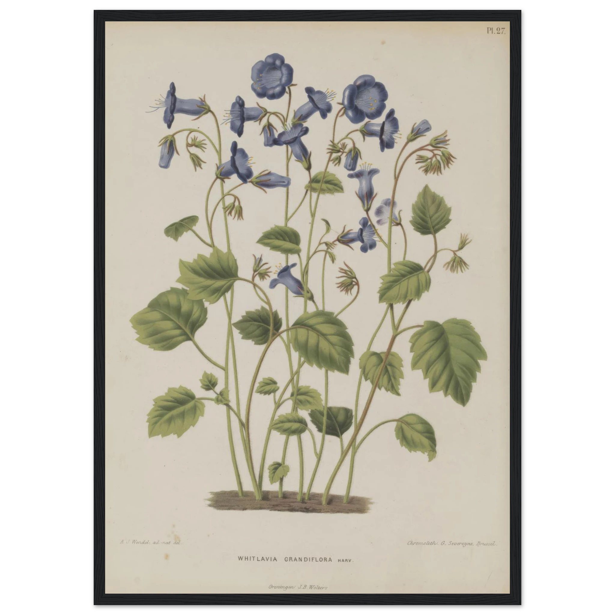 c97cab43-caa3-4059-a5c2-3188d897d03c