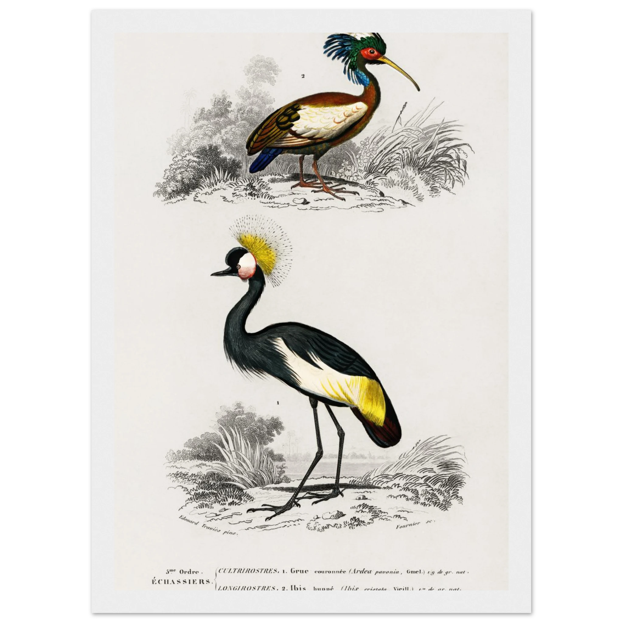 c987681e-4e80-4537-aecb-3cd58d25d7c4