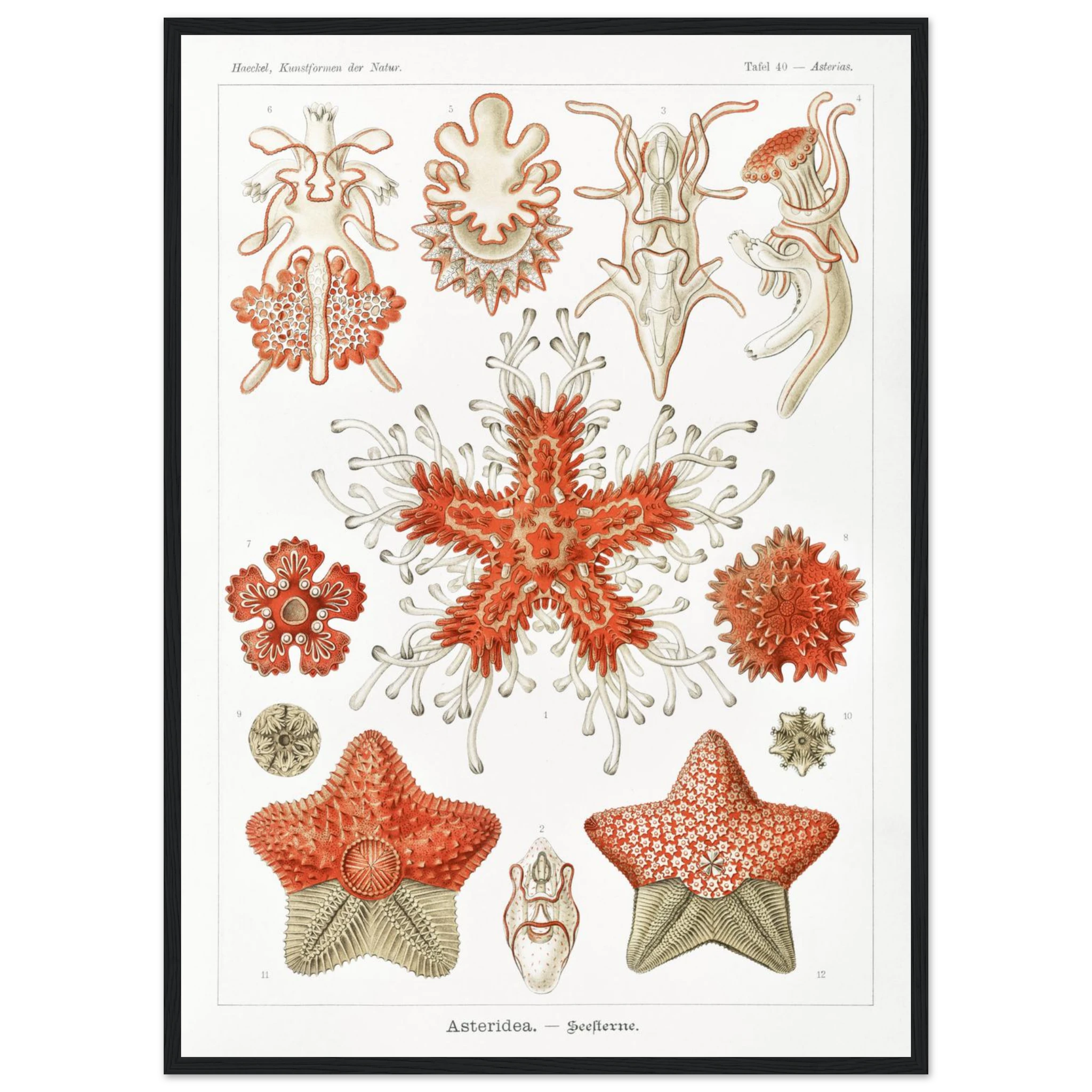 c99718f8-c22b-4d13-84e7-60bf94c12112