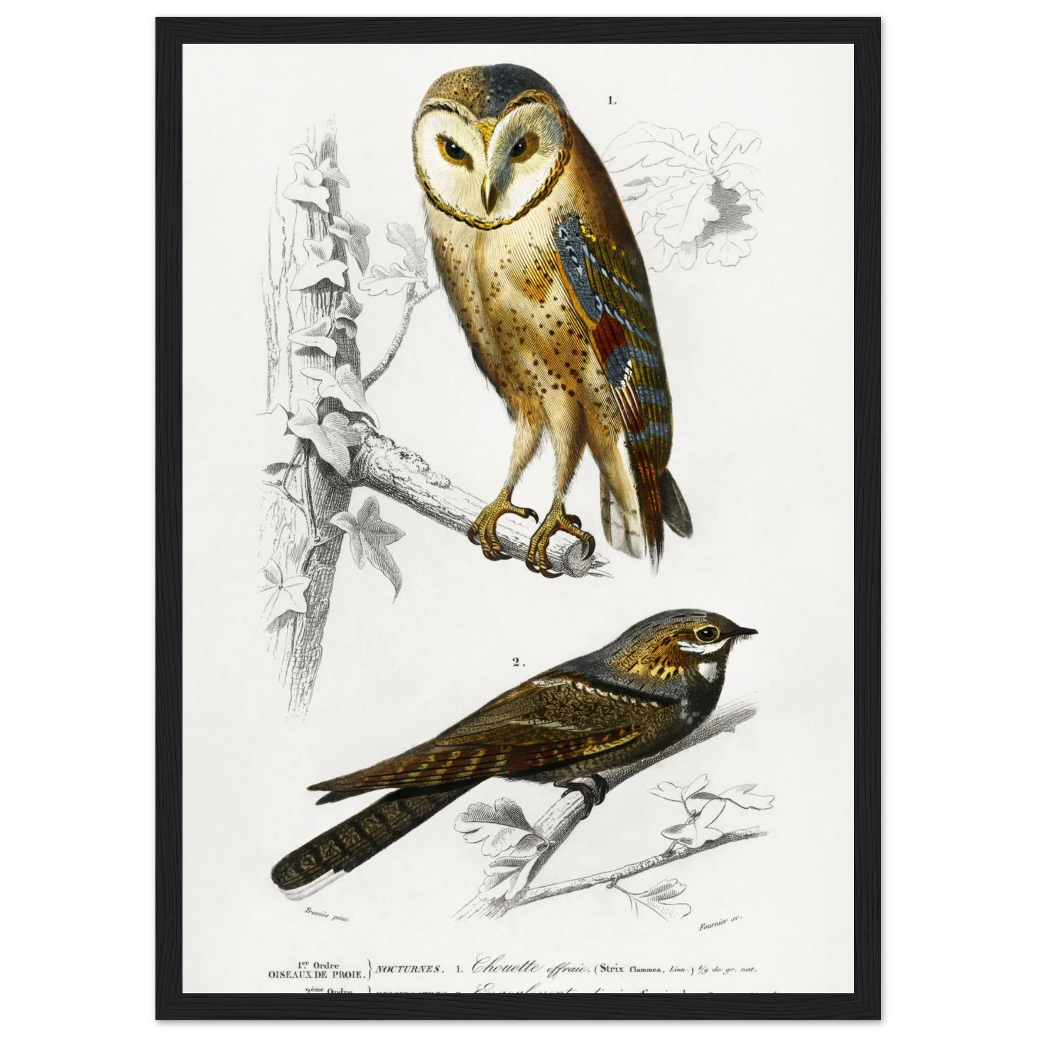 c9a3db47-e912-4462-a212-f32dc344f1a2