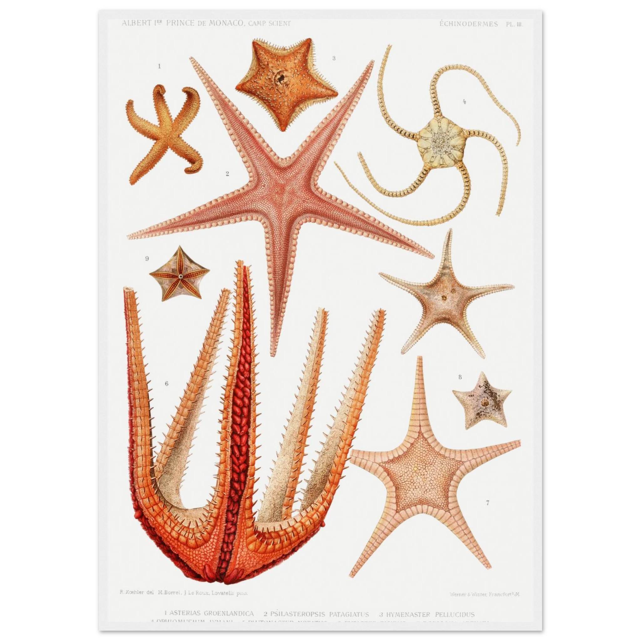 c9de6751-a96b-4570-9fe9-f7df105170af