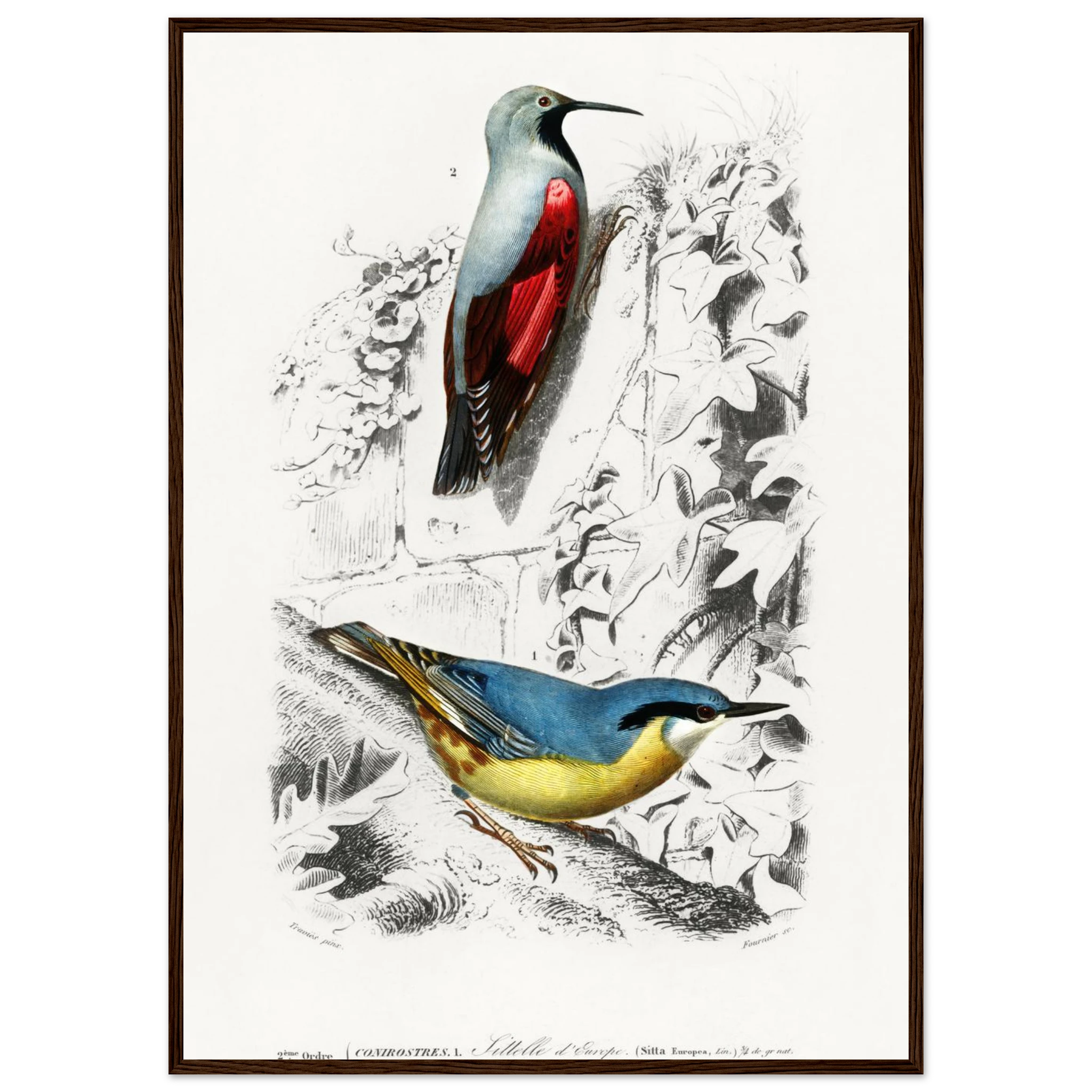 c9e1b49d-76b2-4bf5-aa07-faa39175f422