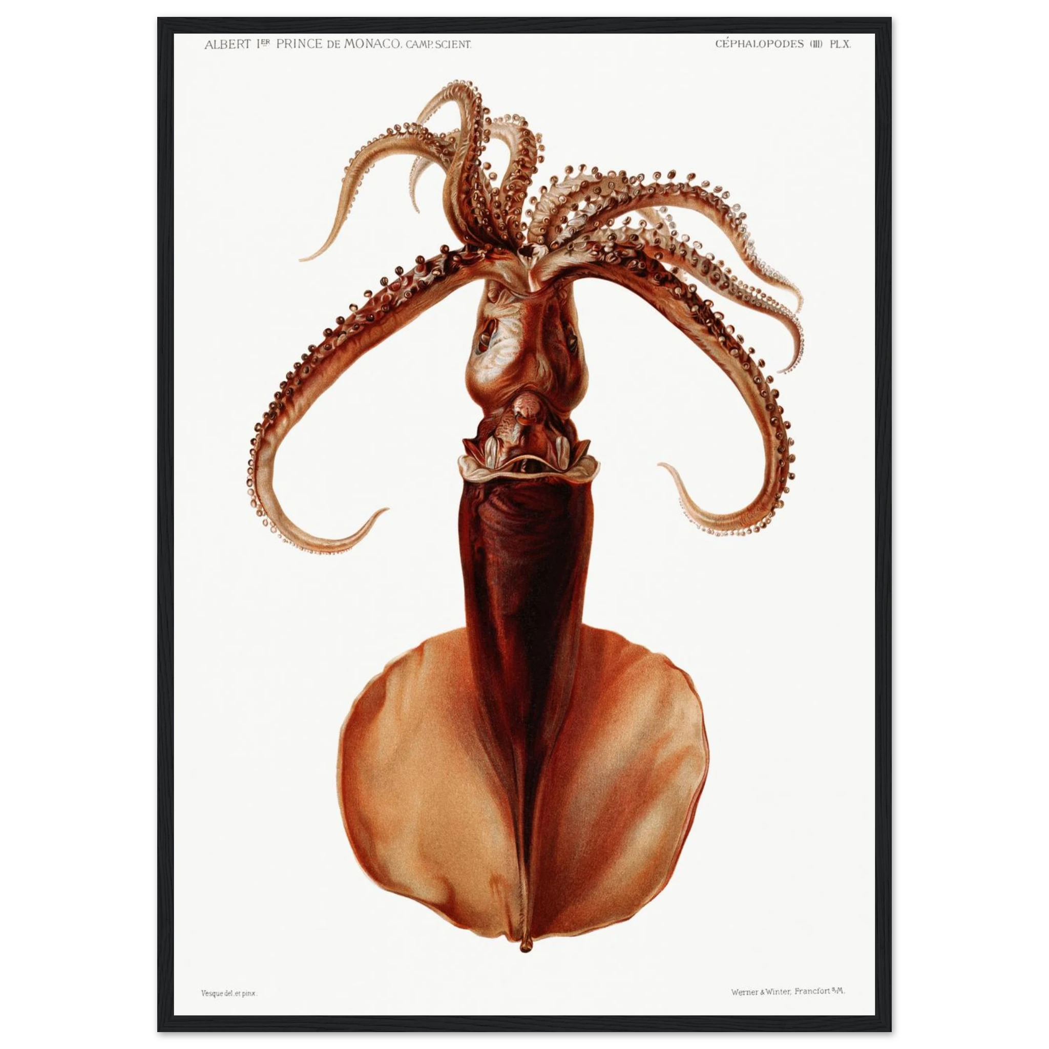 ca566256-d81c-431f-bfa5-977058bfe6cb