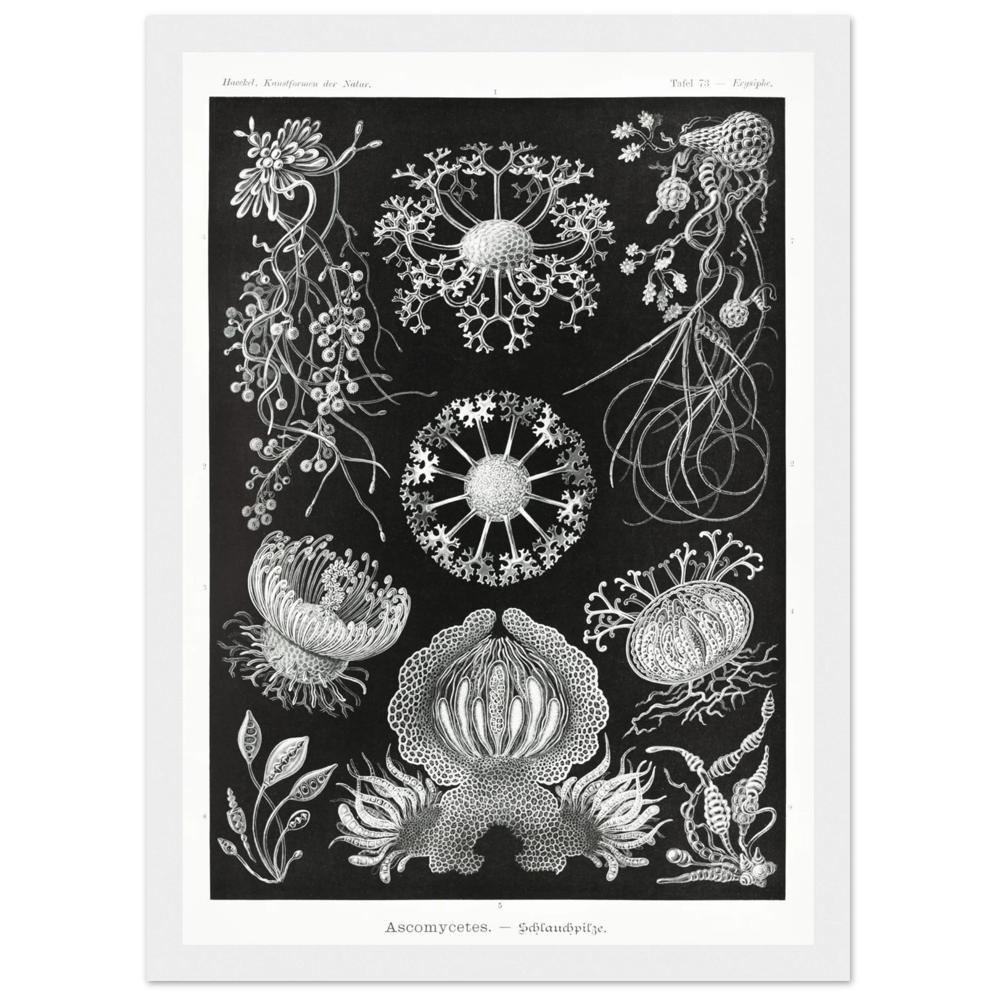 ca771cfd-6bdd-41b8-b85c-8e93e86cccc1