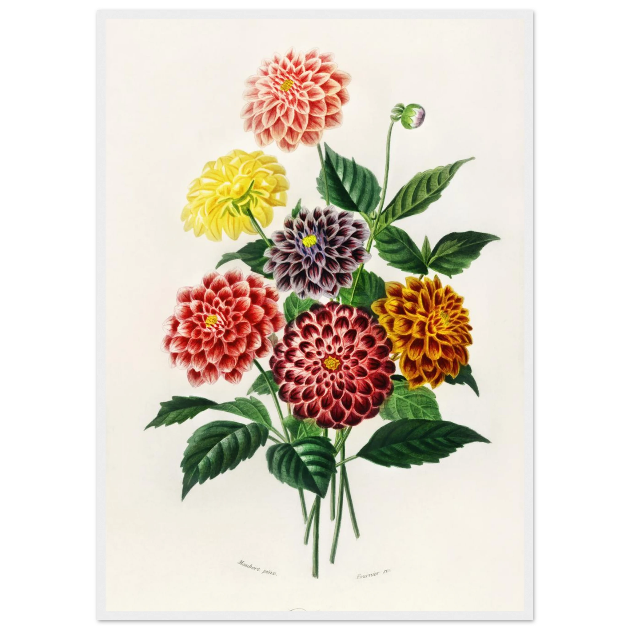 caa7b0ed-d756-4892-9580-1a41d9518515