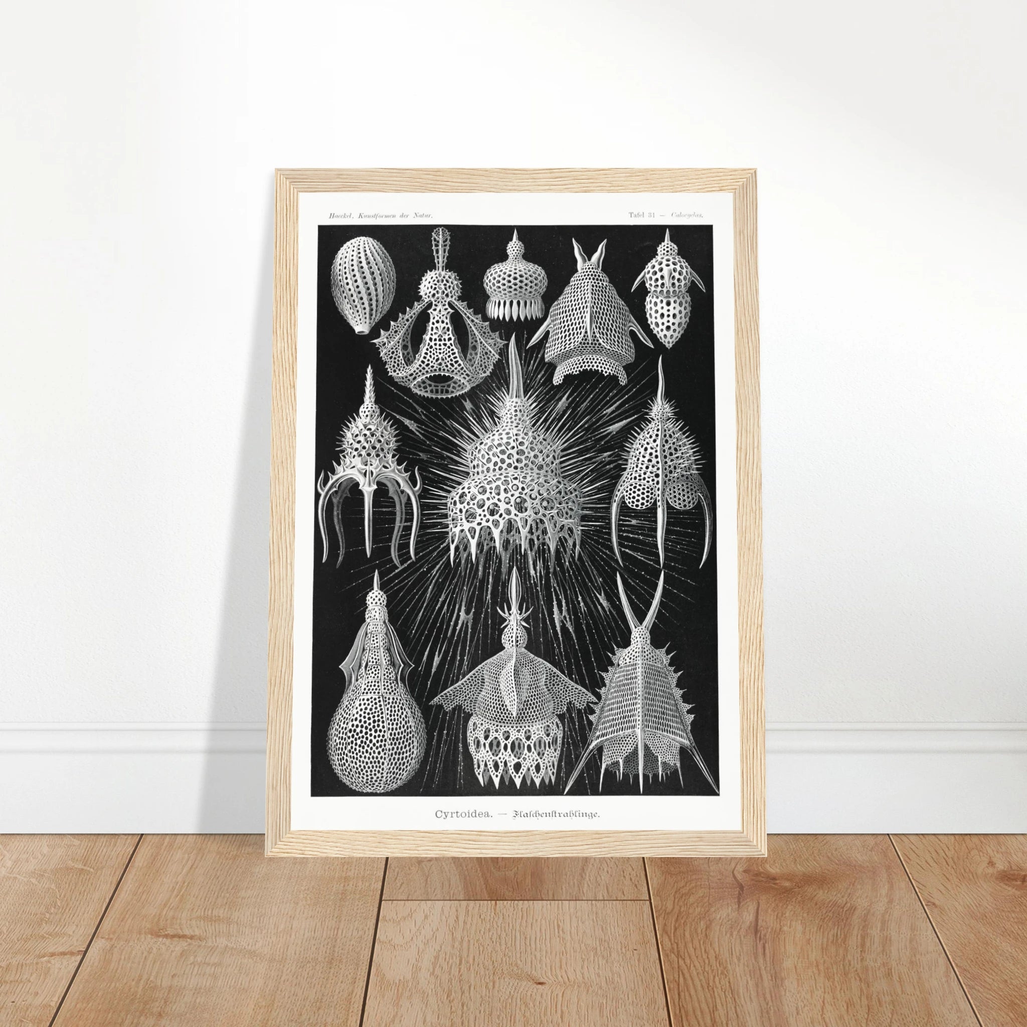 cac78410-88ce-491e-875c-5989602d89ed