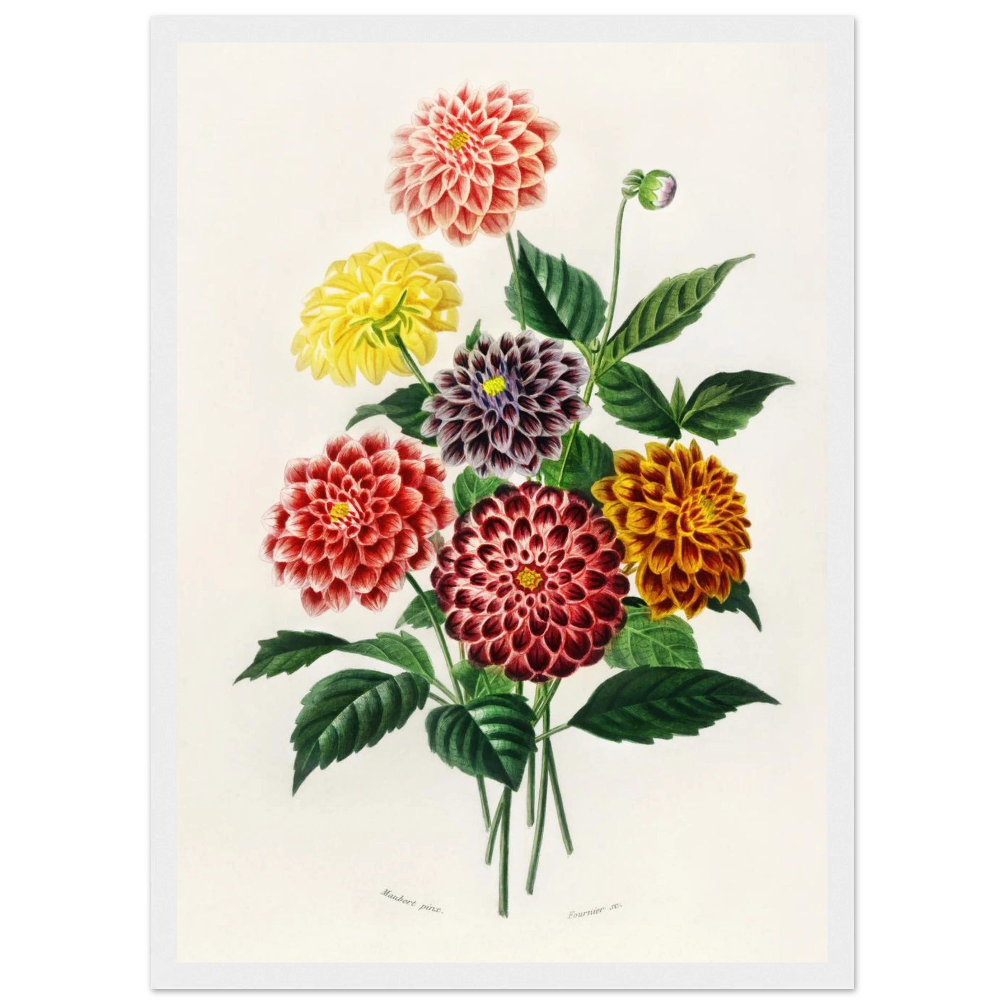 cb148c5d-7cb2-4413-8e55-d2daf3f640cd