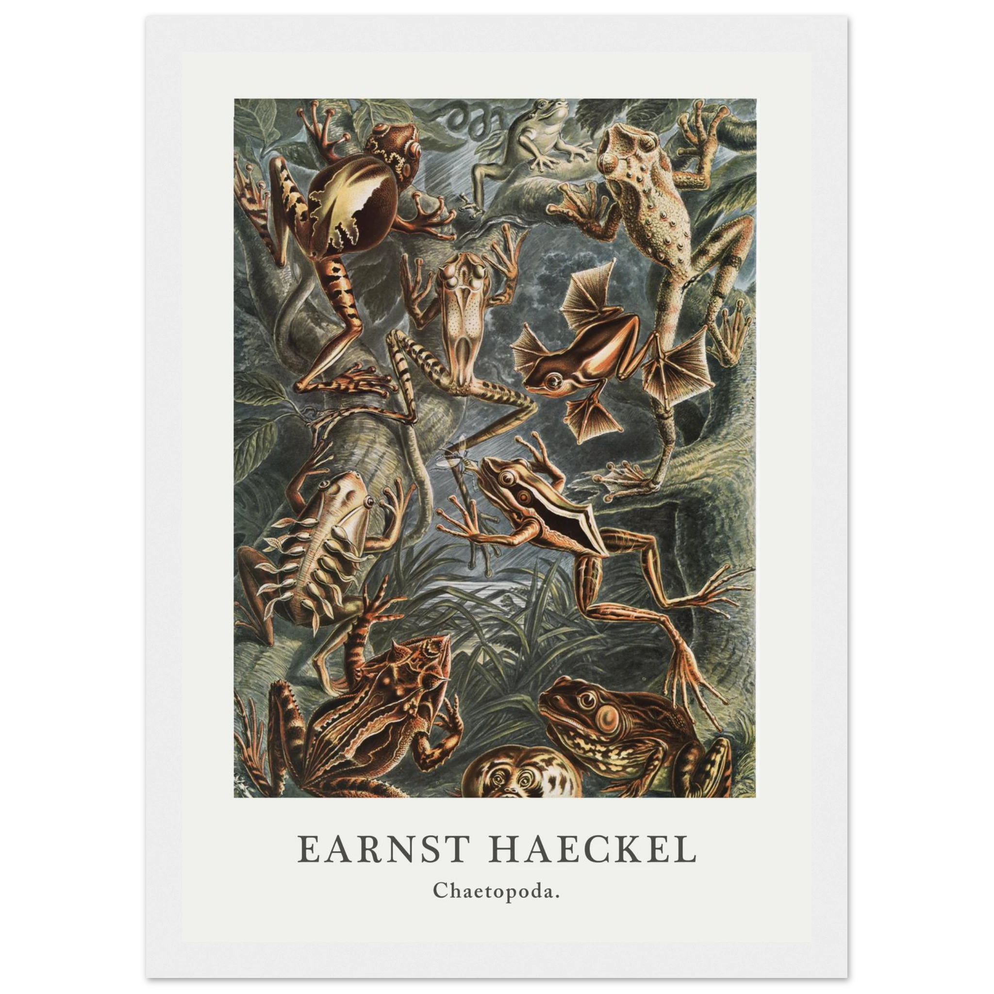 cb27c88c-6434-4577-a092-438c9e982e2a