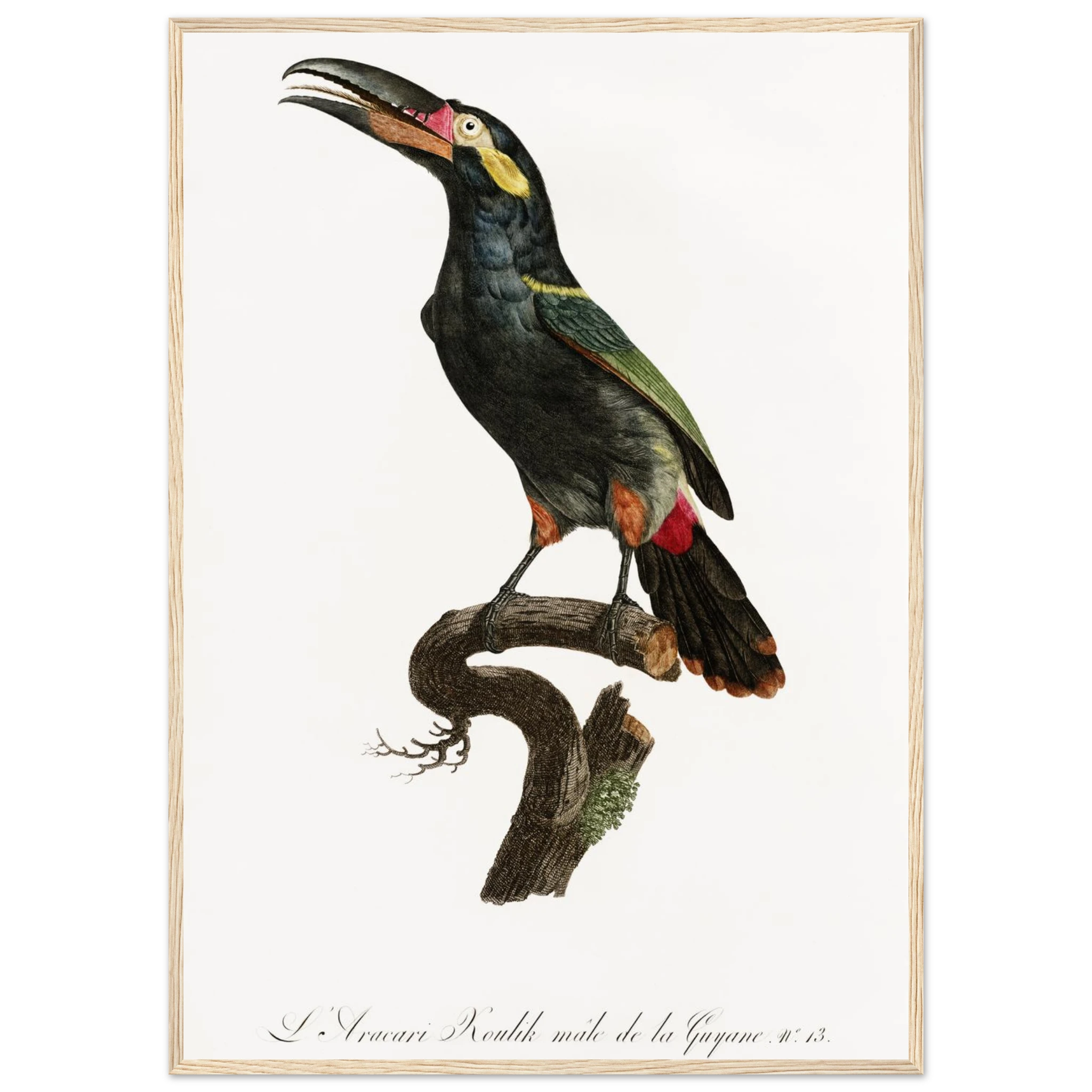 cb40d7d3-966d-49f4-b46c-84944707f7c8