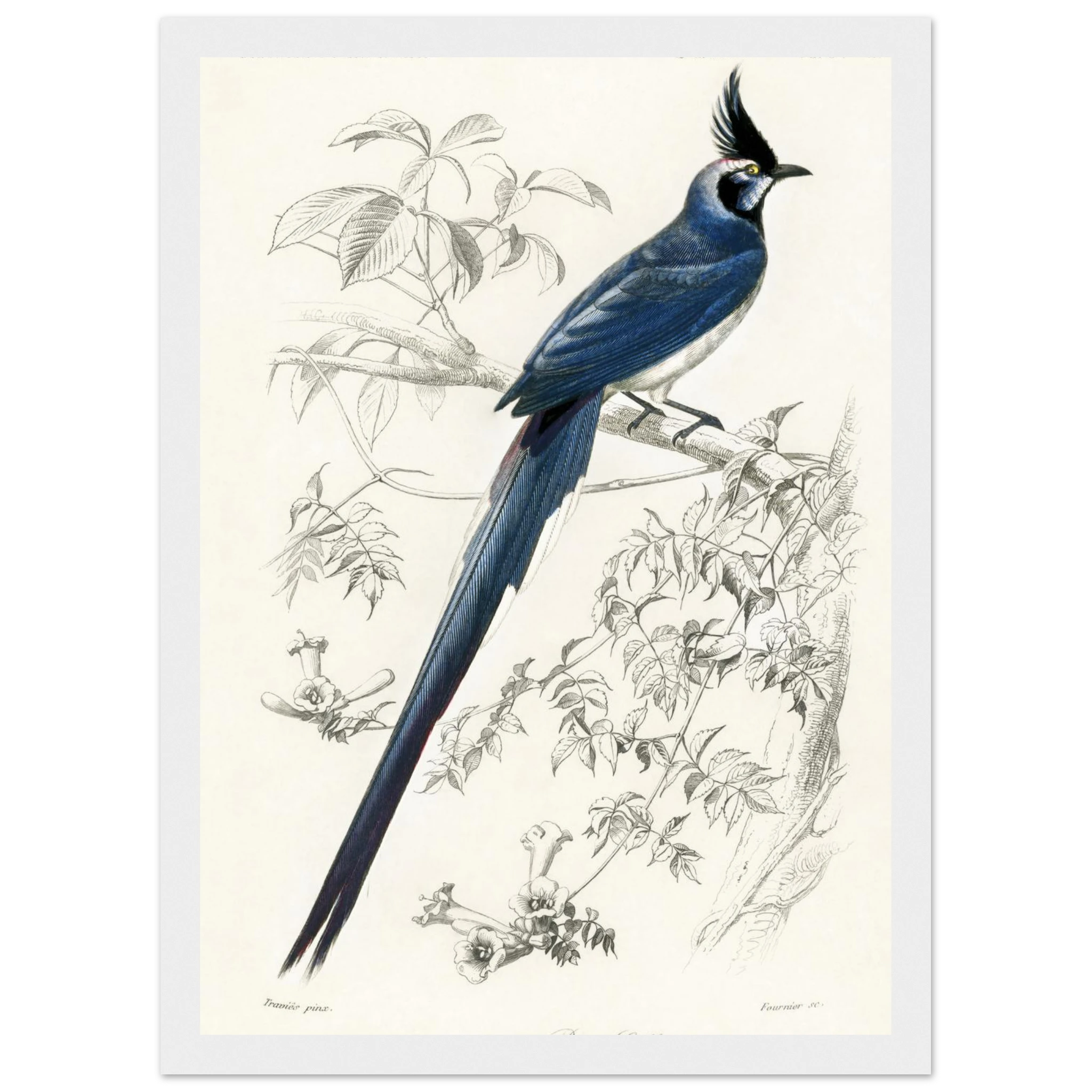 cb6c3b15-2efd-4195-864e-7205bc1ad610