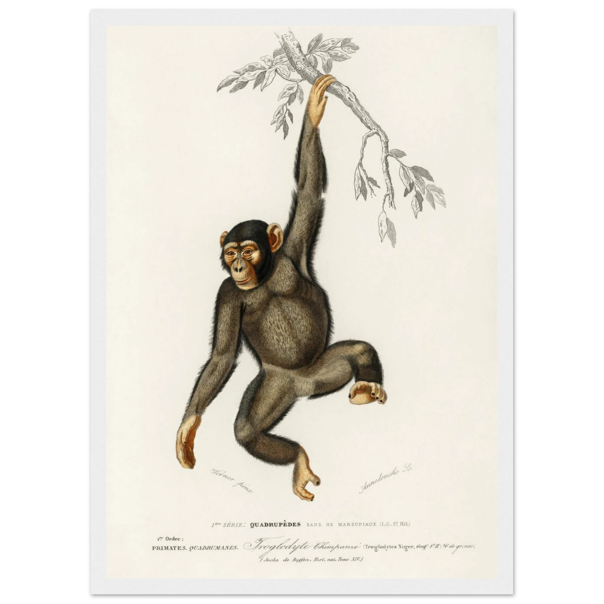 cb855203-0f4a-4136-97ea-f5c1e39b1bbb