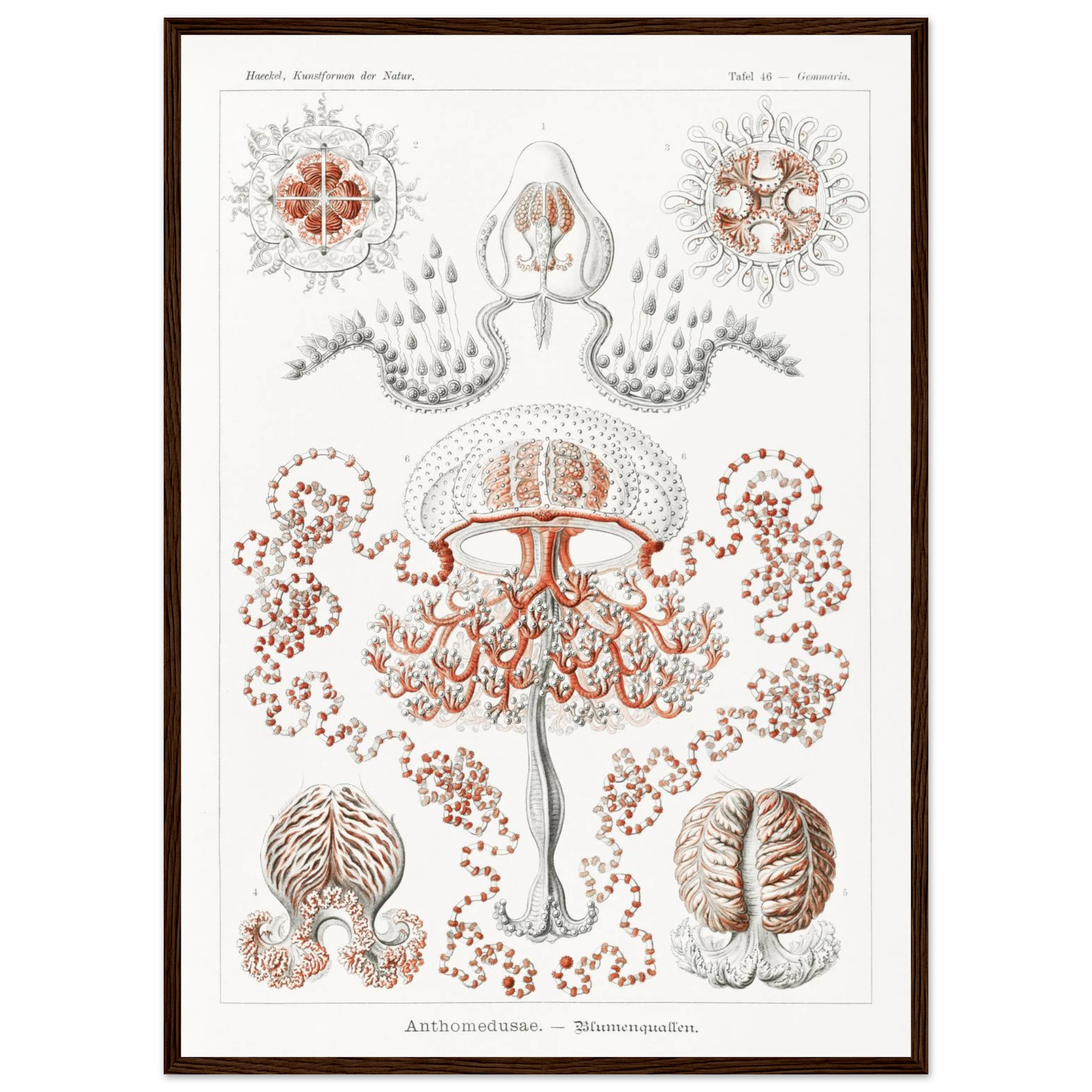 cbb28096-5b65-460b-bfe9-53a1341c75e1