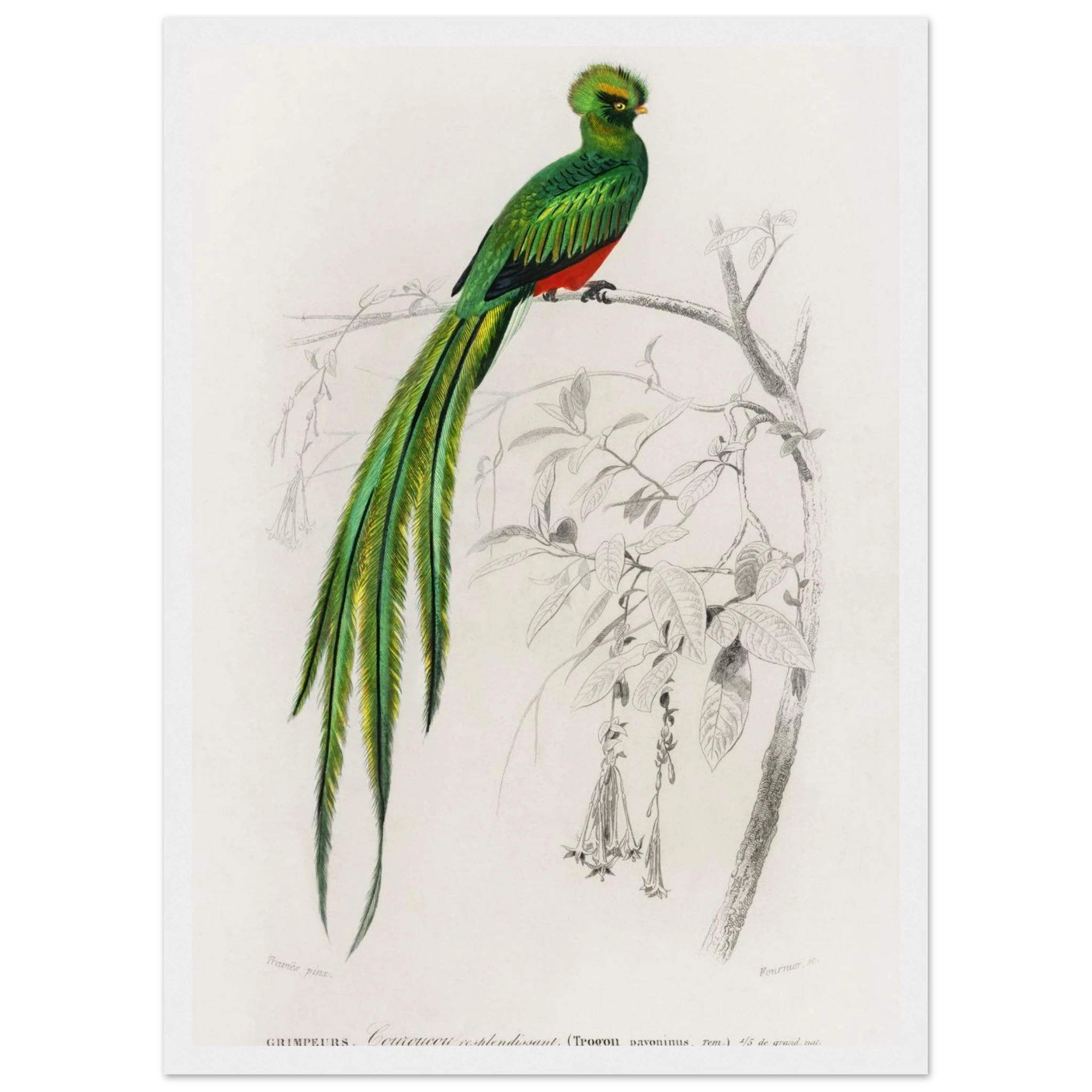 cbd366ae-108a-4ed9-a77f-f20bed19a49a