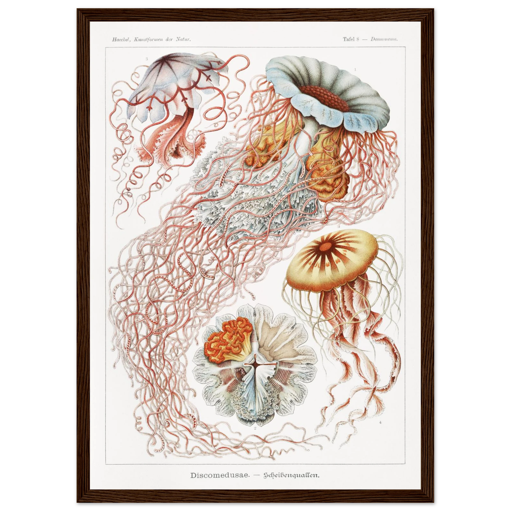 cbfb3e44-508e-455d-bab8-c35a9cc8aef2