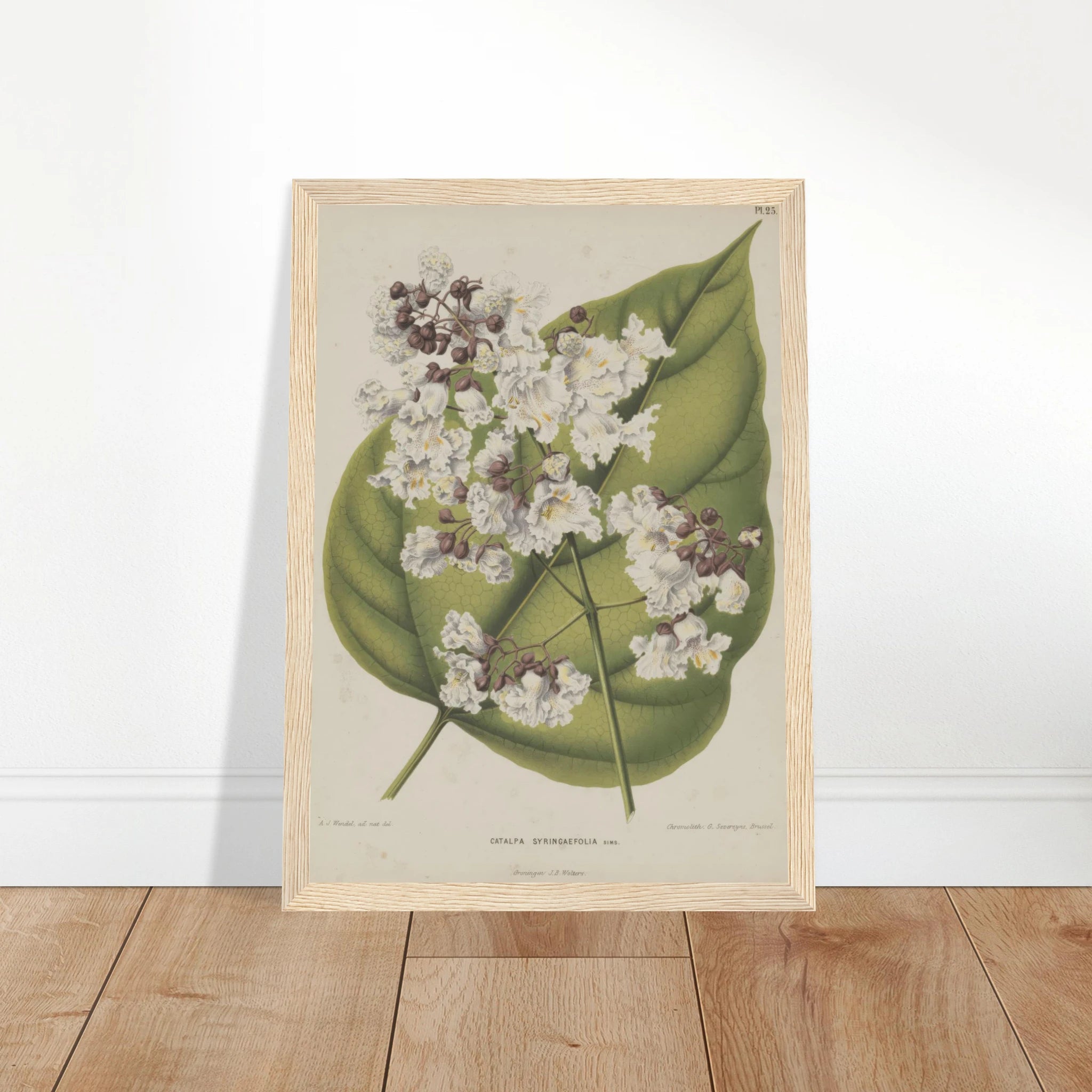 cc0d39f6-98b9-4afa-a2ac-3440c1db07f0