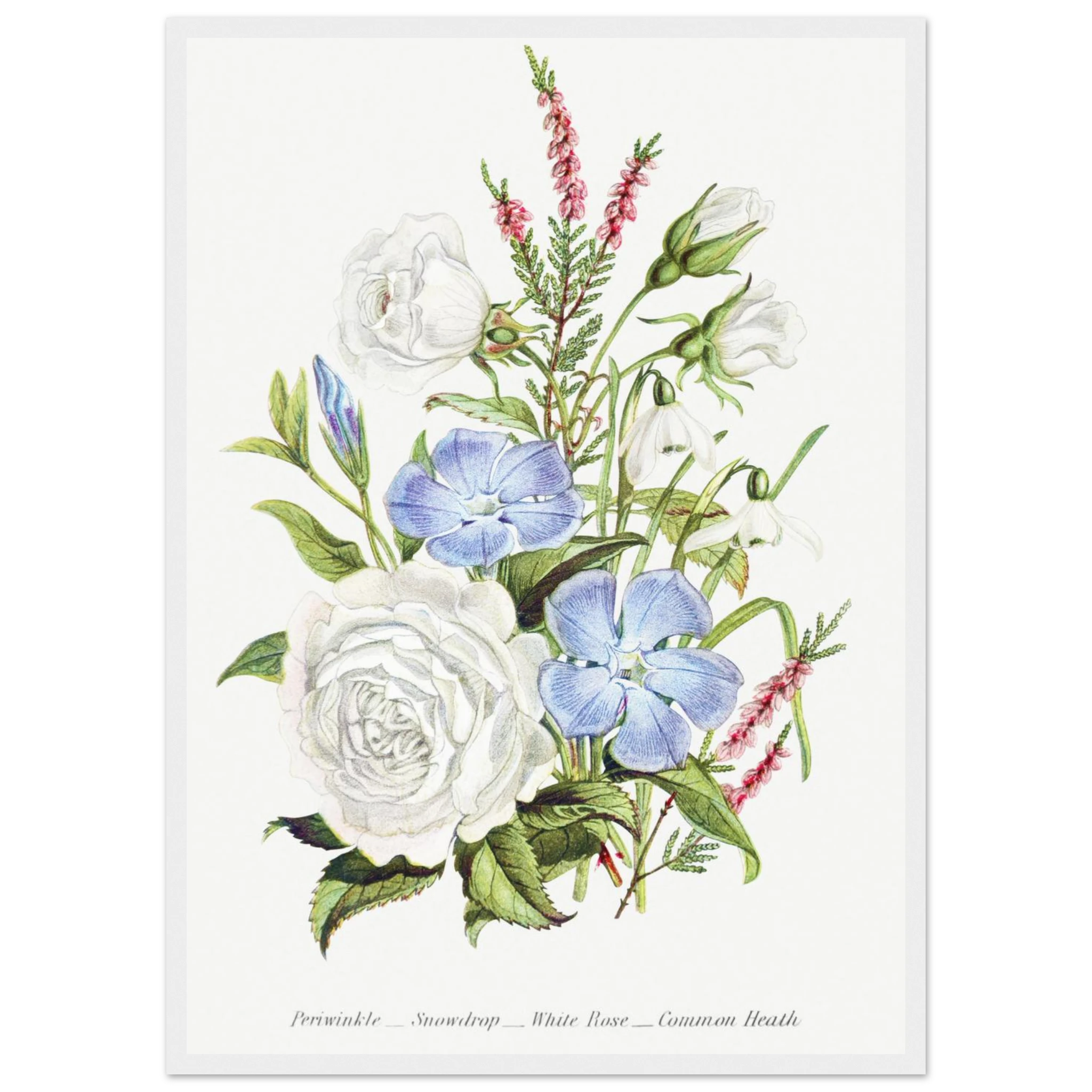 cc60c86e-e390-4587-9267-5644a34b3a23