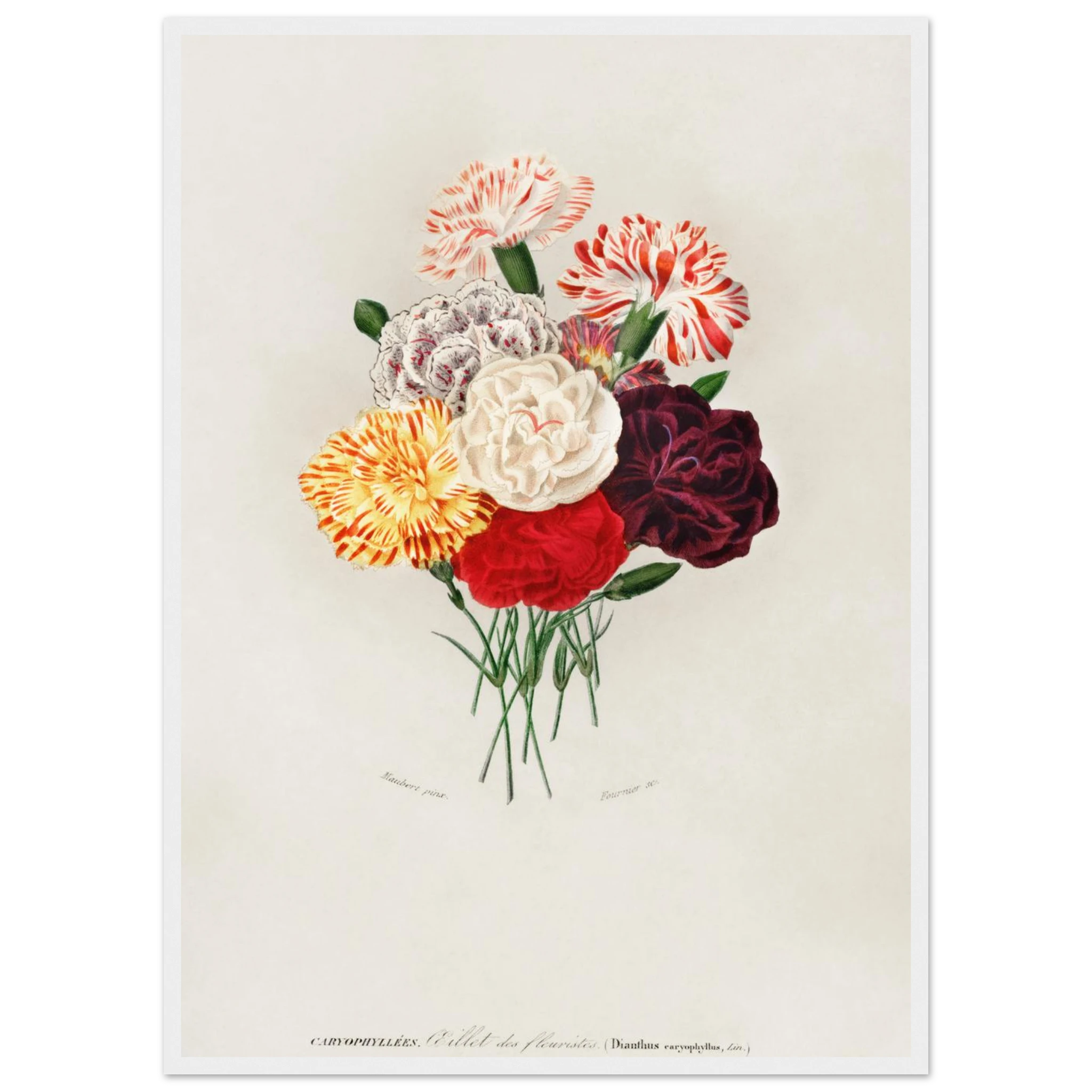 cc75610e-c4d4-4bed-a136-fd842d7afb51