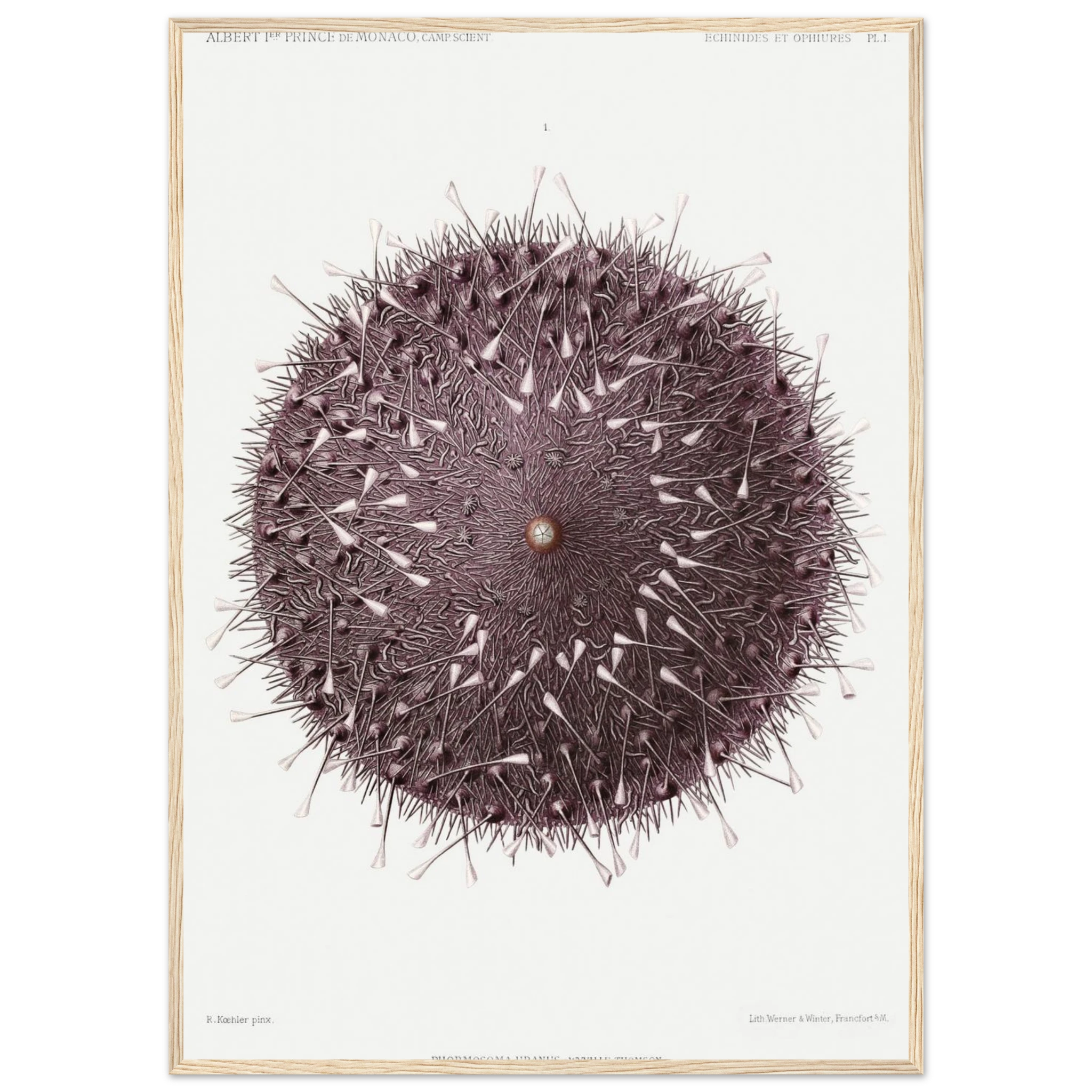 cca8341f-df33-4ba3-865e-4da5a3d238e0