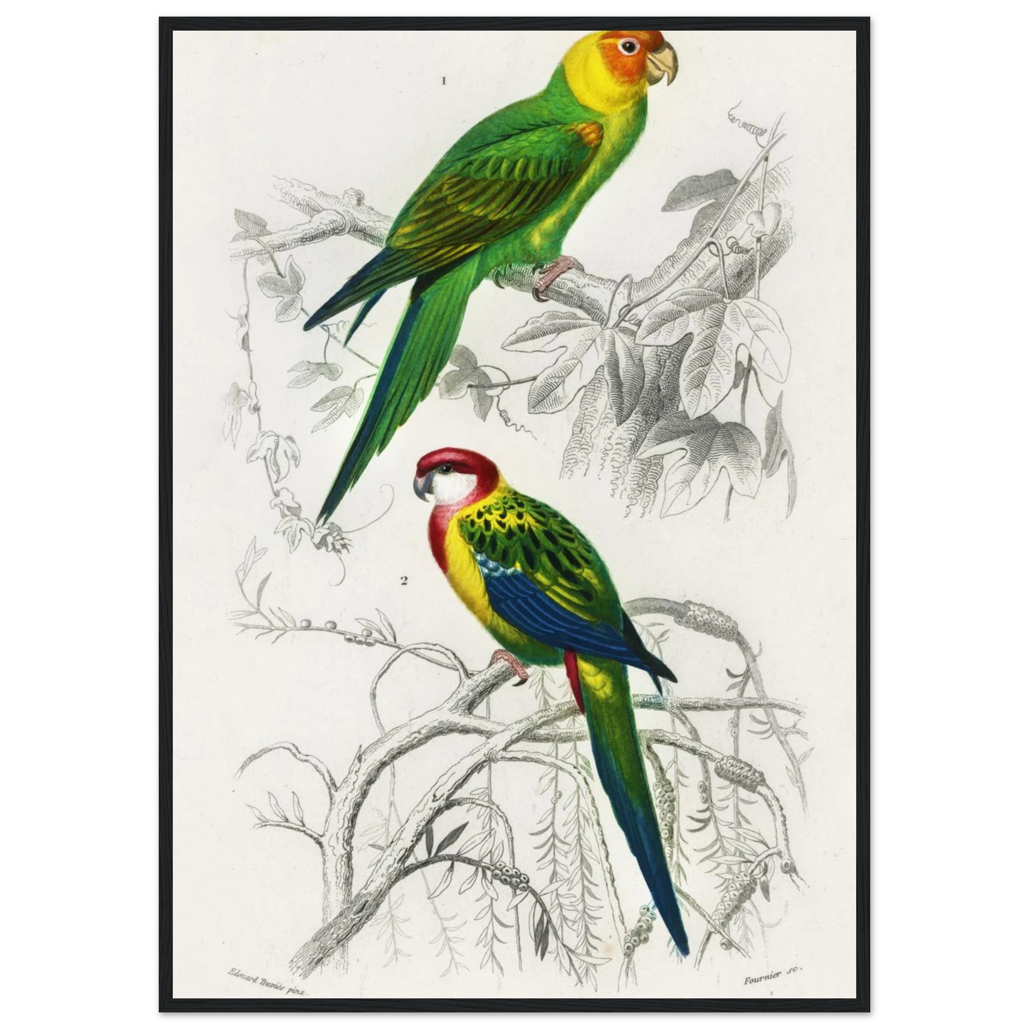 cccdeb39-c6cc-47be-b70e-e25d2d0859d4