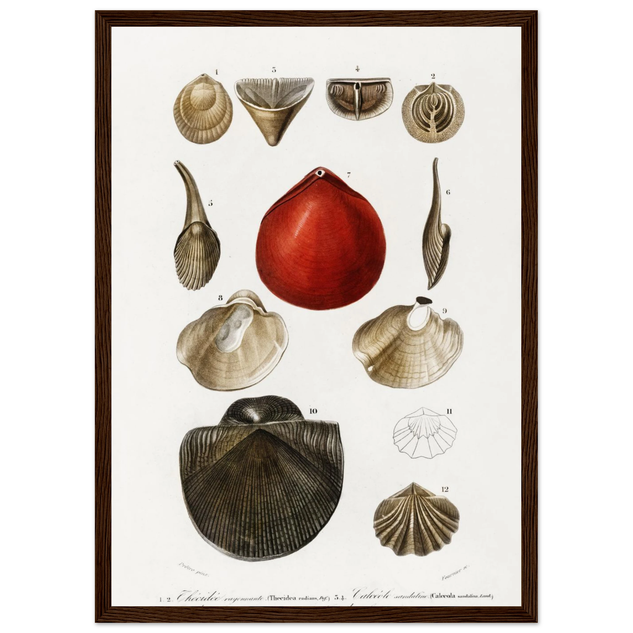 cce47462-7376-4b5a-9669-9a66ef57c602