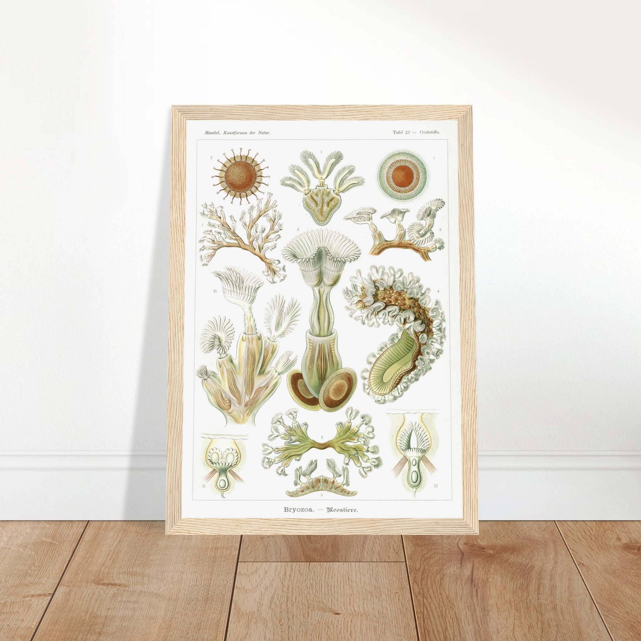 ccfb4b9a-d163-46dc-a694-3f906d38a2f3