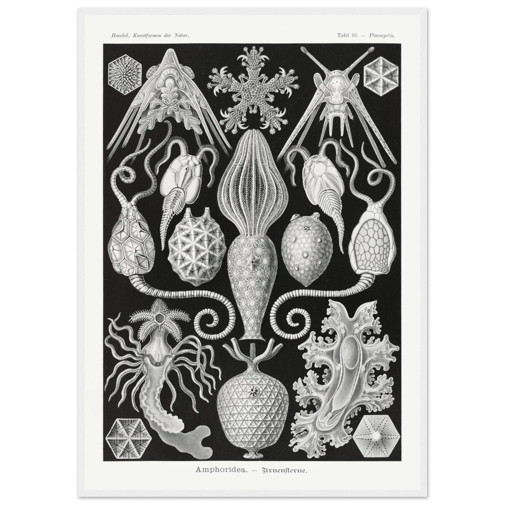 ccfe78c8-5797-4052-bd32-567259b15a98