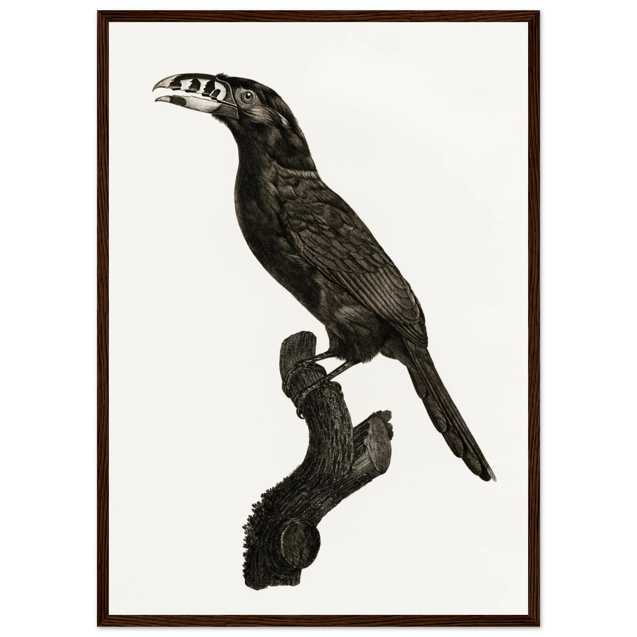 cd51b400-3122-407b-a87d-039e01c4a1dd